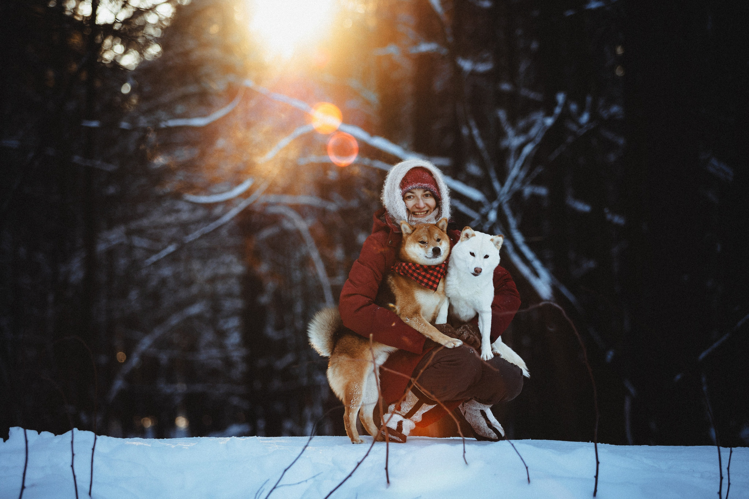 Шед, Цири и Ира