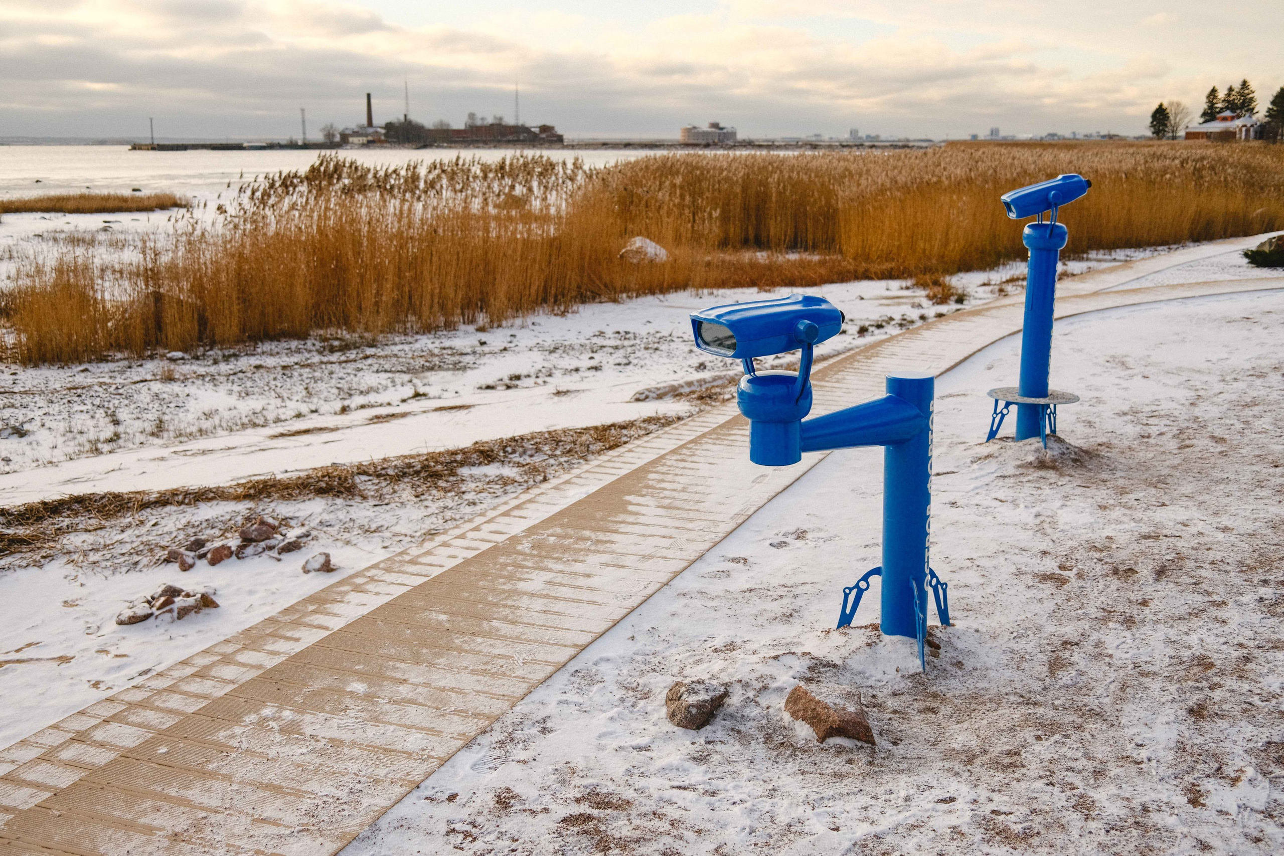 2022.11. Фотограф Алексей Алексеев