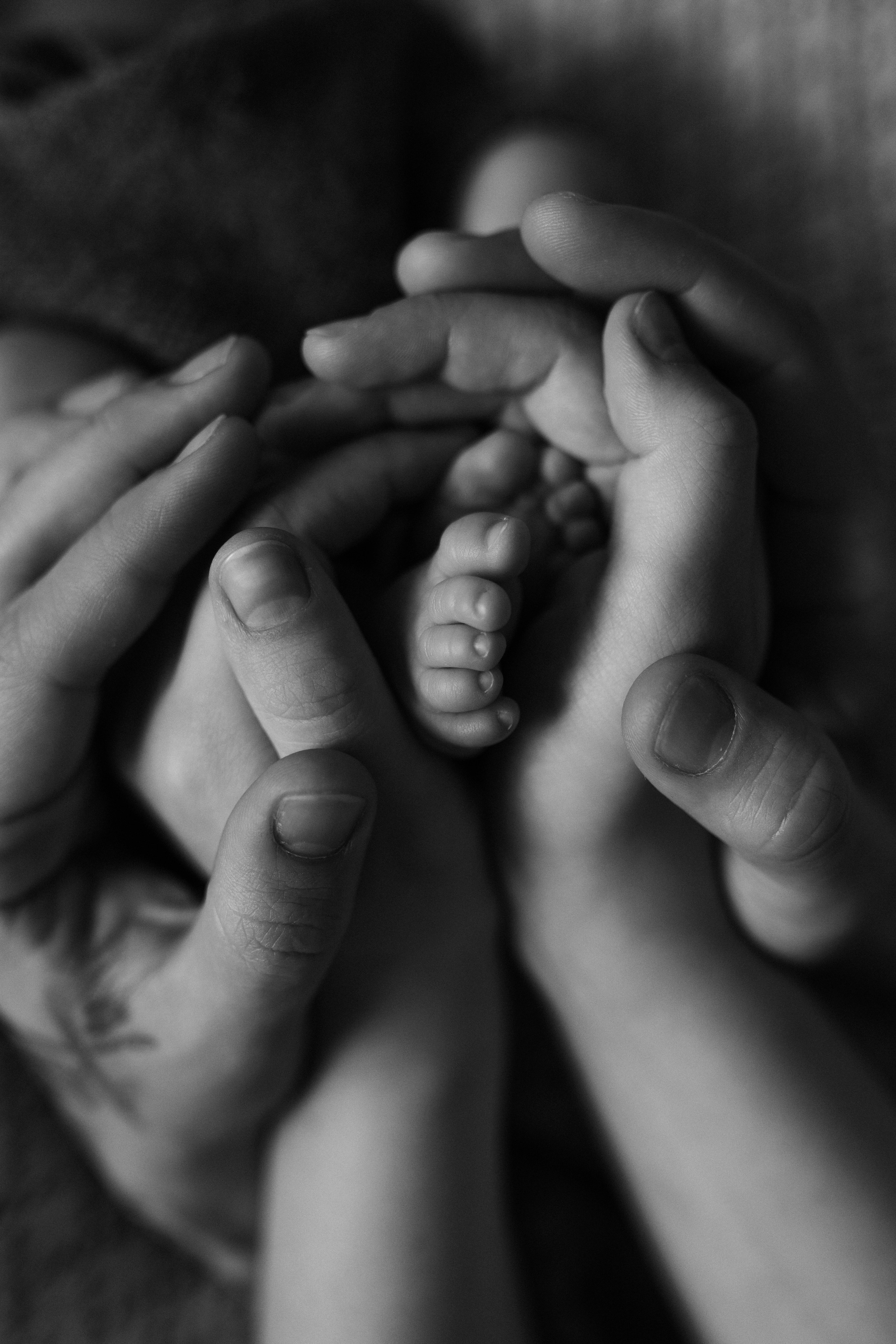 Фотосессия новорождённого Краснодар, семейный фотограф в Краснодаре Яна Морева. Семейный фотограф в Краснодаре Яна Морева