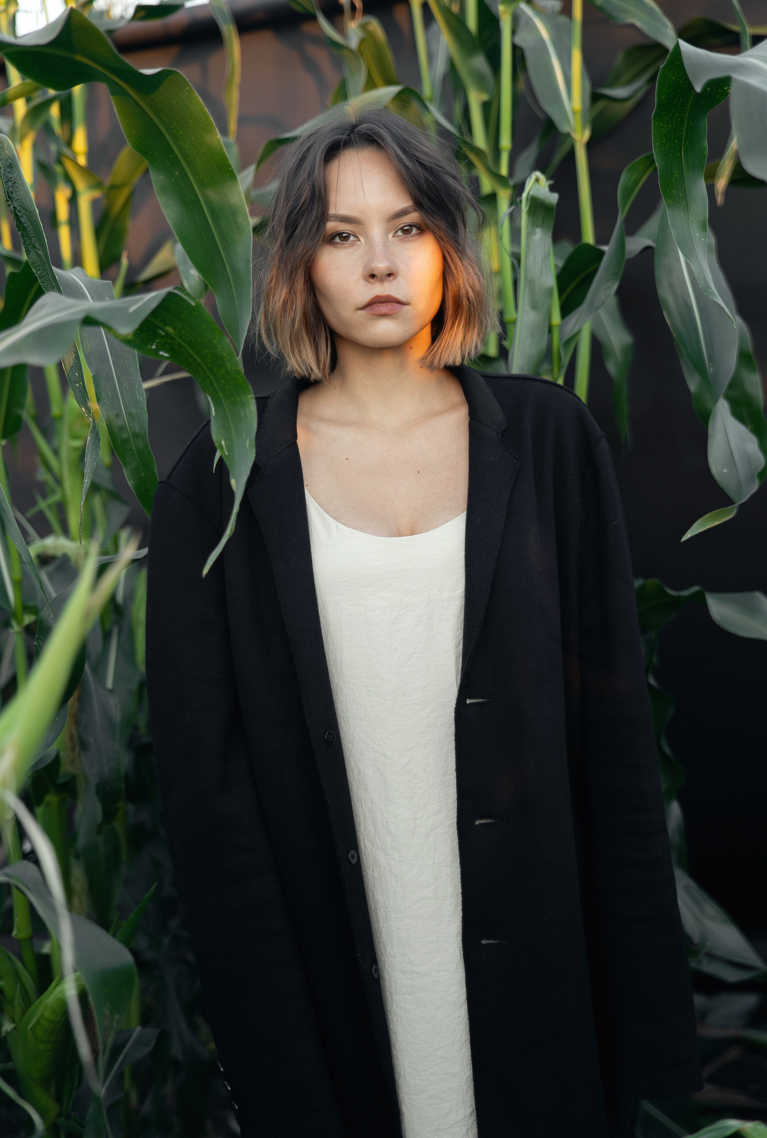 Фотосъемка в кукурузе. Свадебный фотограф в СПб Сергей Малиновский