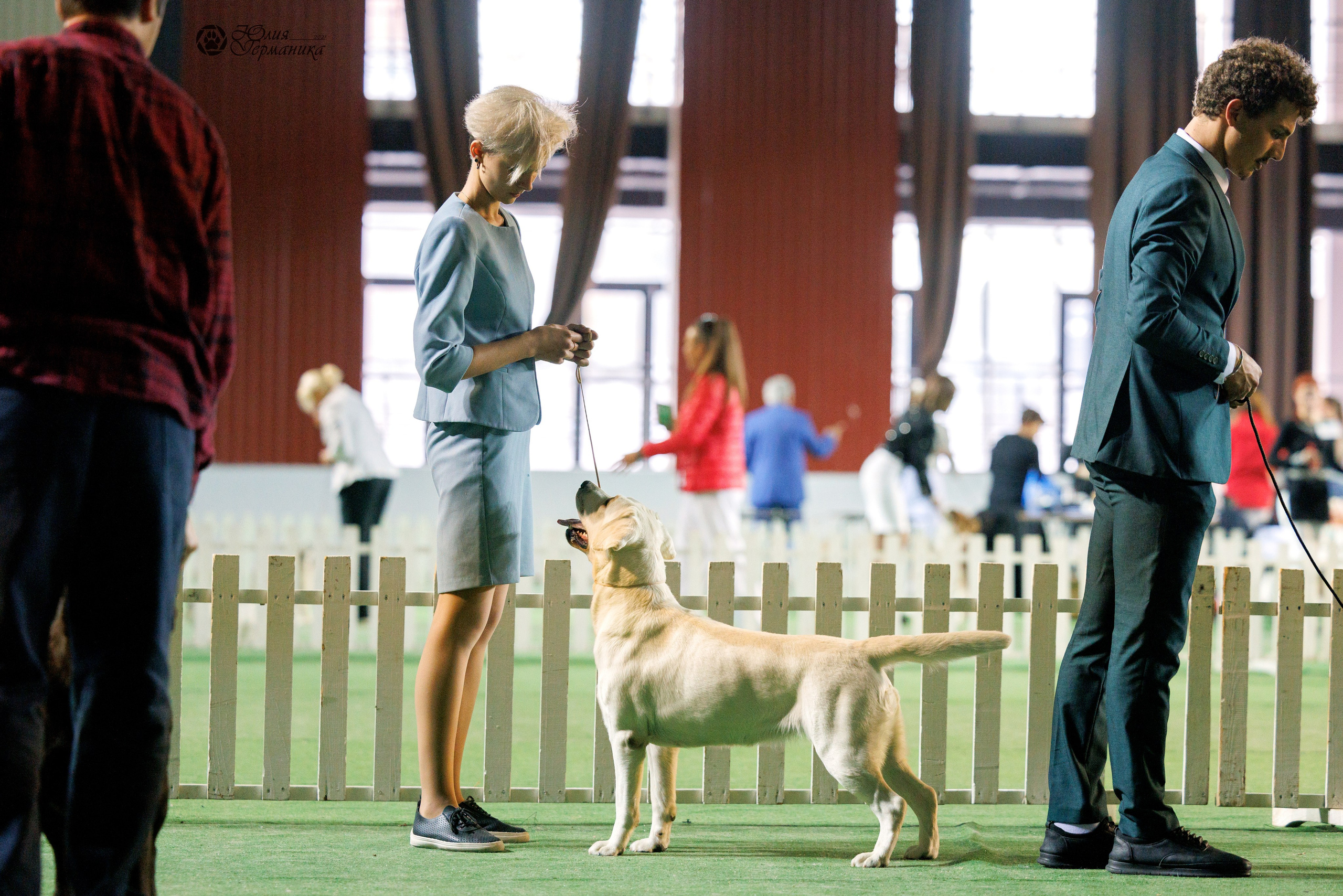 Грузия,Телави 2хCACIB 19-20.10.2024. Фотограф-анималист Юлия Германика