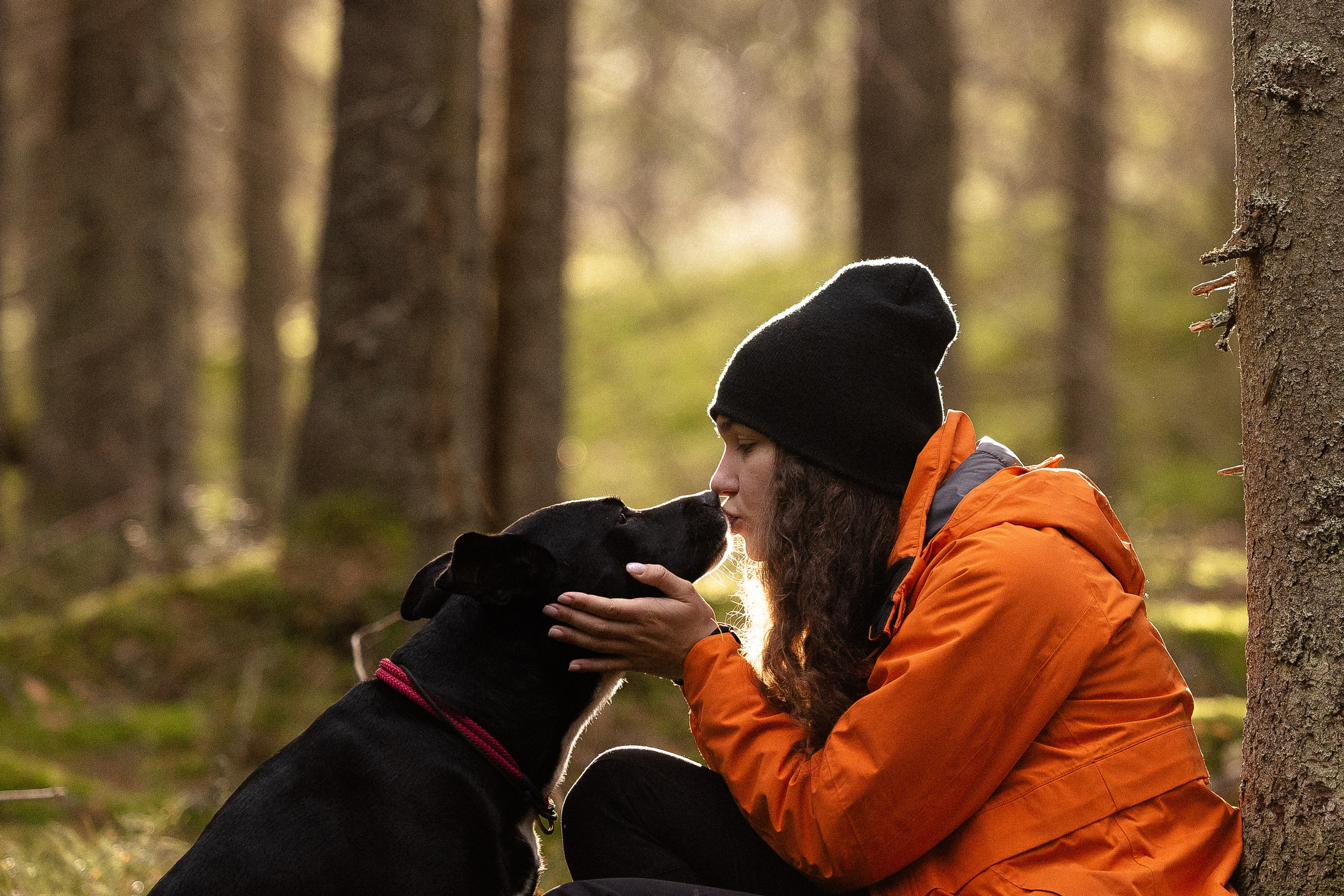 Karelia. Фотограф и видеограф анималист Аганина Дарья