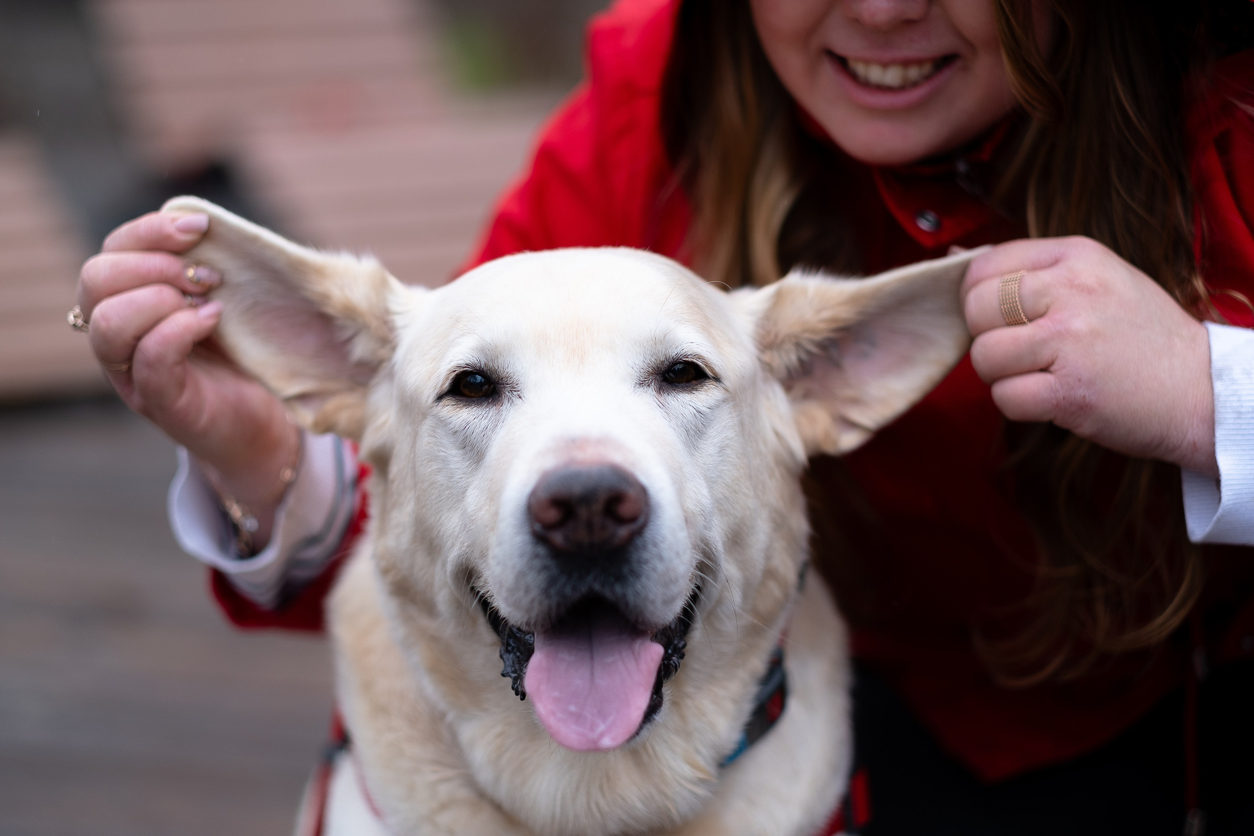 Света и Лето. Фотограф и видеограф анималист Аганина Дарья