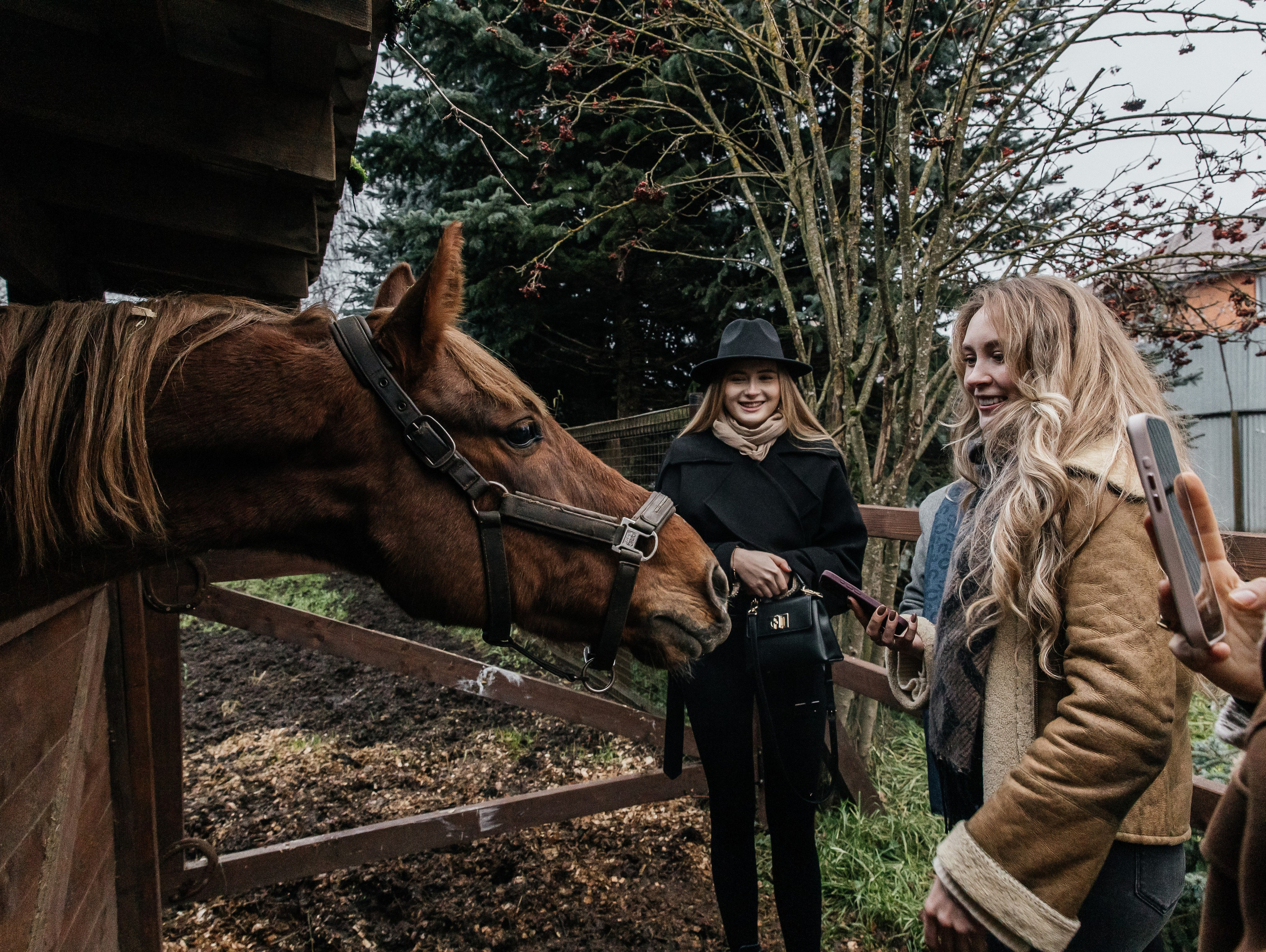 Ферма «Few Horses». Фотограф | портрет | бренды | репортаж