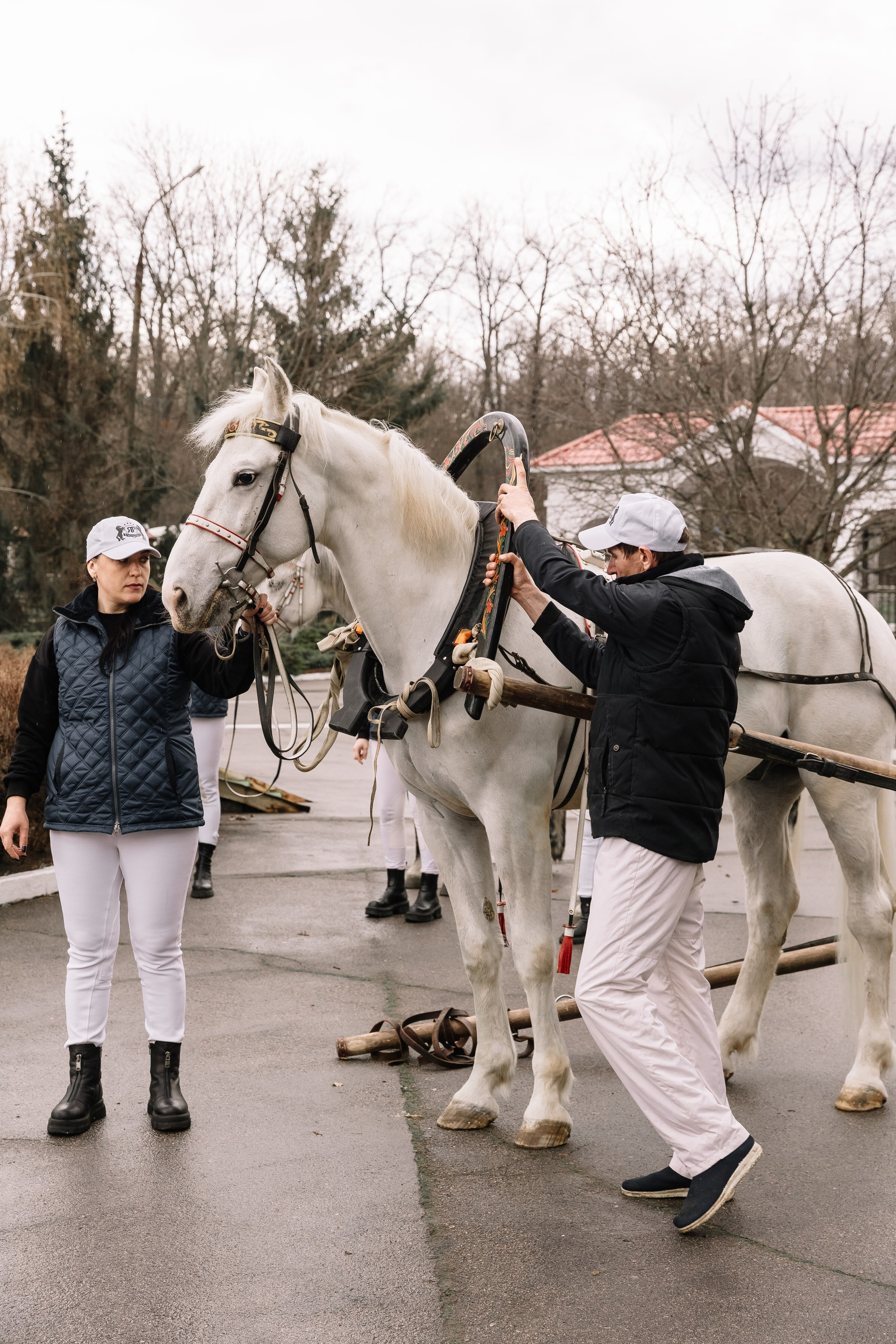 День Орловского рысака. Парк-отель Яр. Свадебный, репортажный фотограф Ирина Шкурина