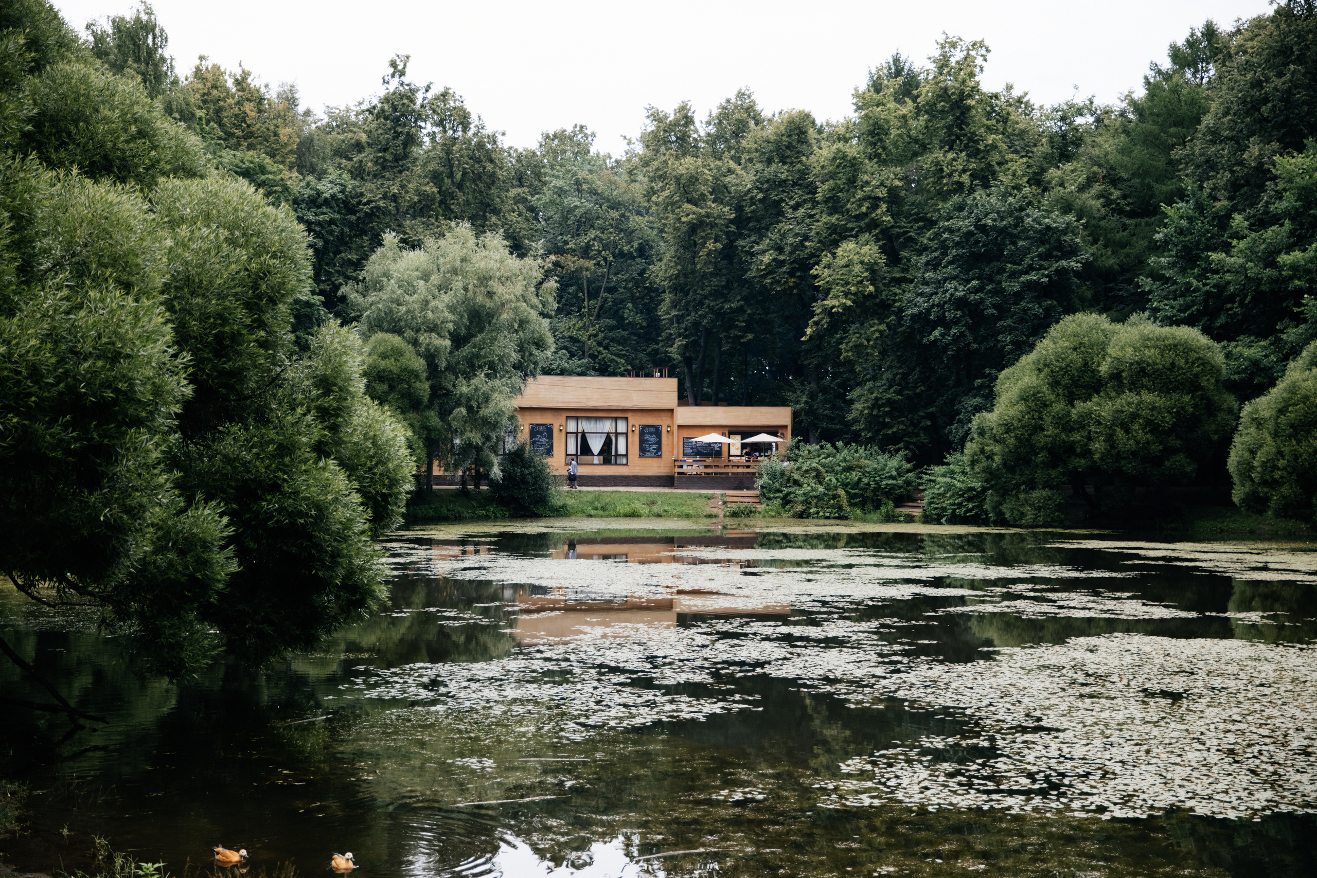 Пятое июля. Самый свадебный фотограф