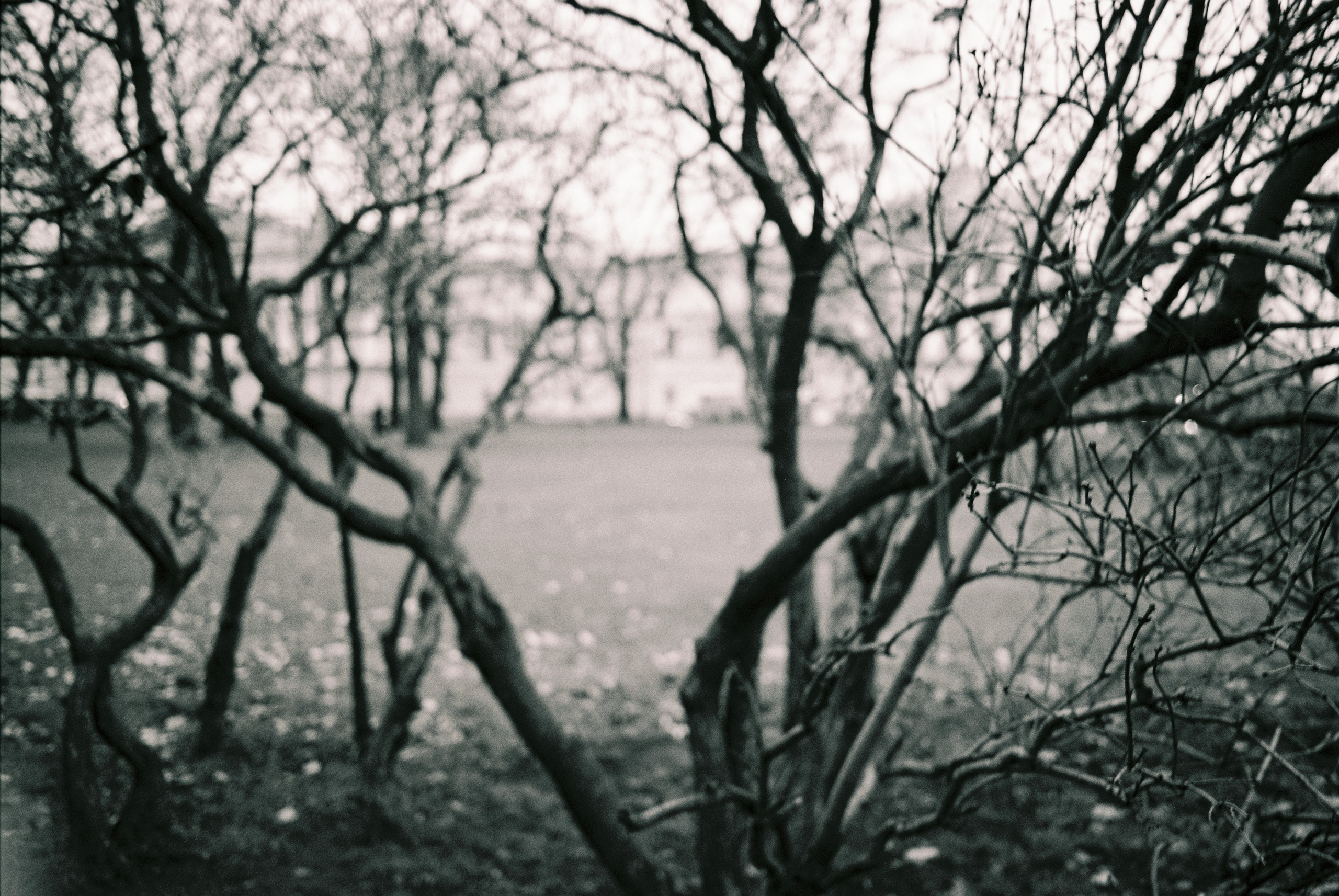 Film. Ruslan UI Dev Page