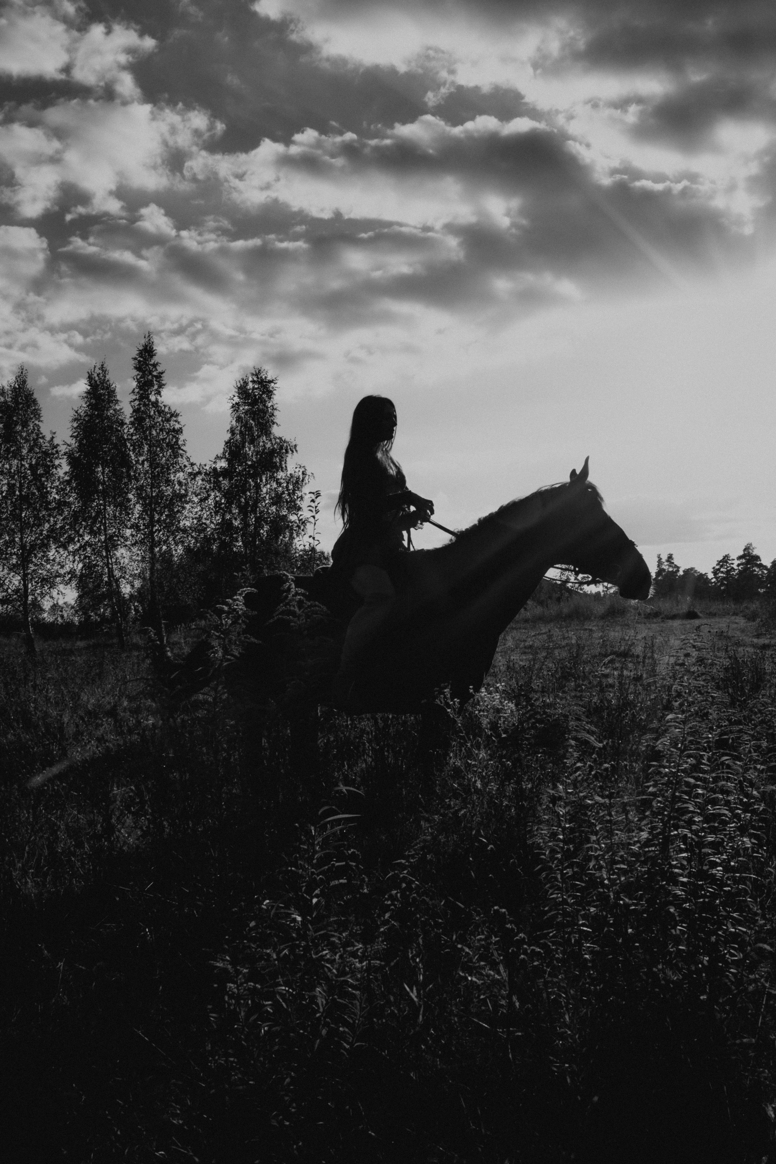 Фотосессия с лошадью. Фотограф Москва / Зеленоград — Наталья Петухова