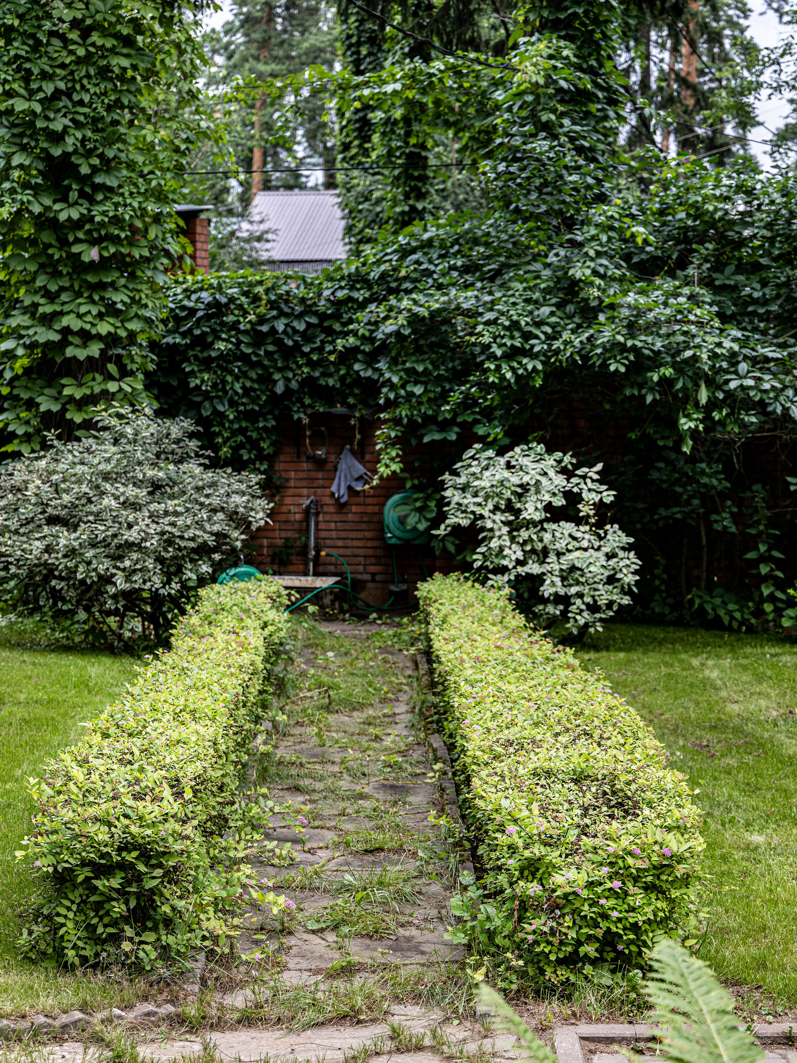 Фотограф Татьяна Марсуверских г. Жуковский, Москва и Мо. Репортажные съёмки, фотосессии. Детский, семейный фотограф. Фотограф для маркетплейсов, фотоуслуги в Жуковском Татьяна Марсуверских