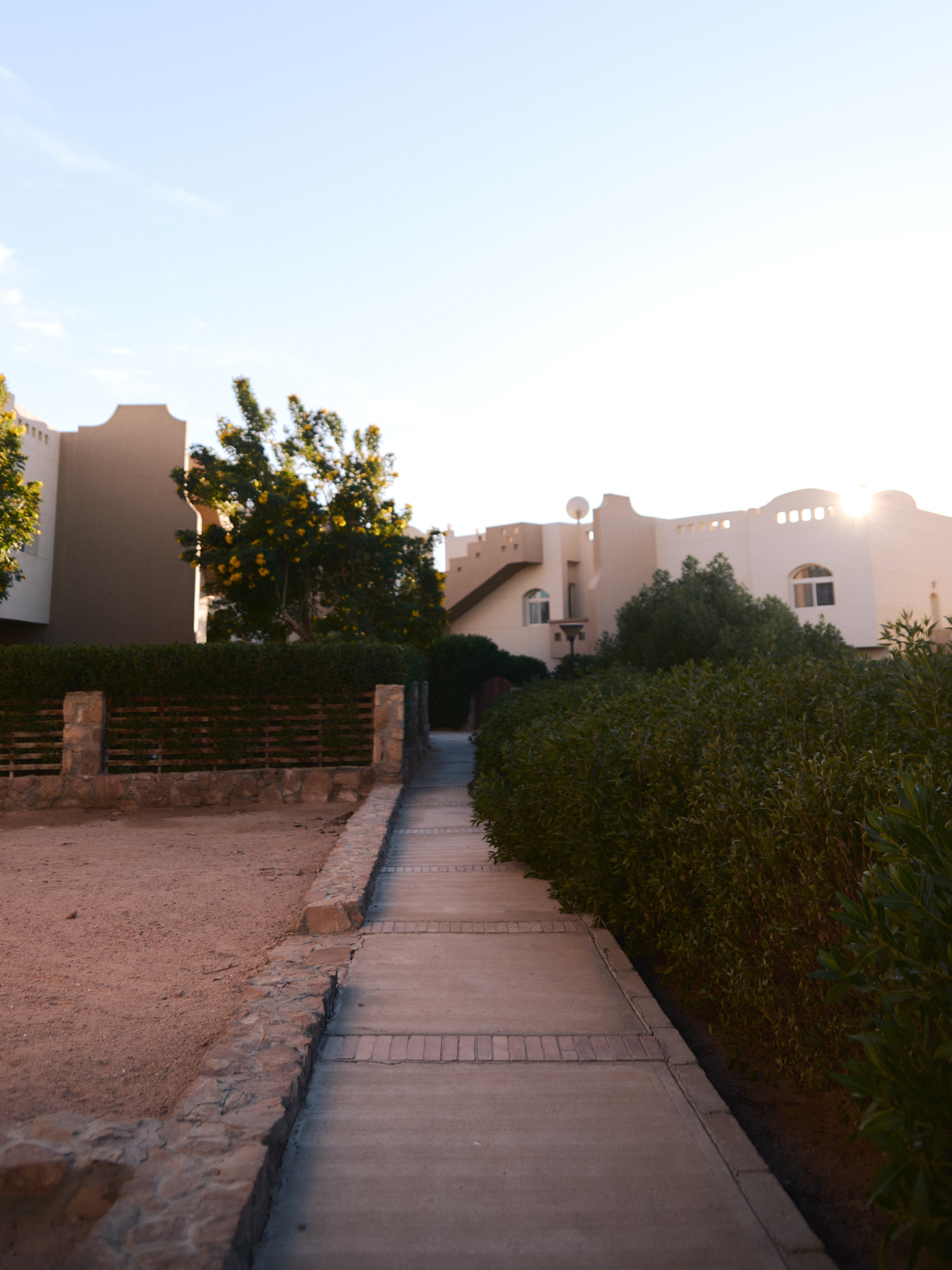 Другое 2. Jorgis Talè — photographer, kind person, teacher of arts and other mag