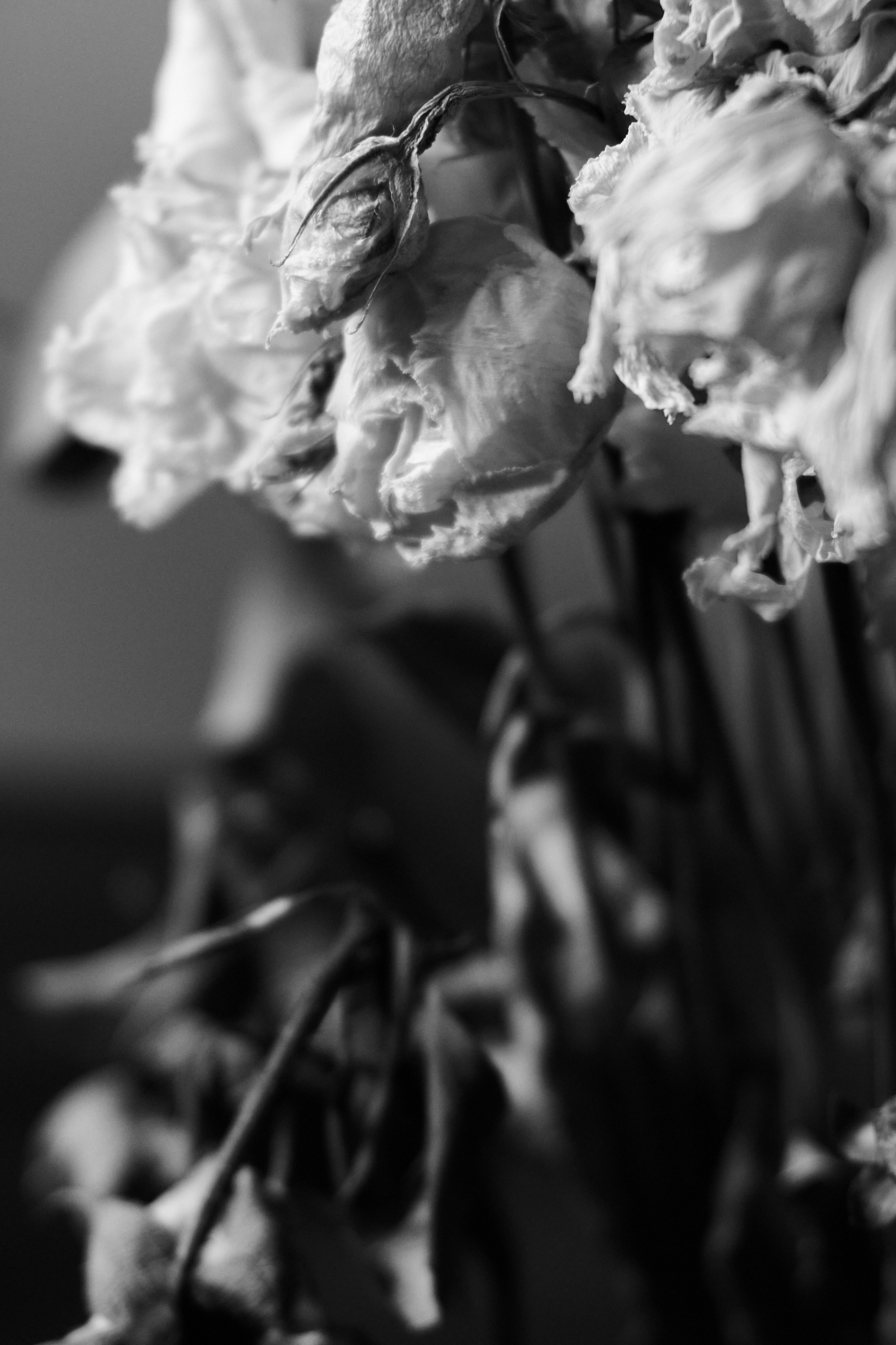 Details. Фотограф Гундров Эдуард