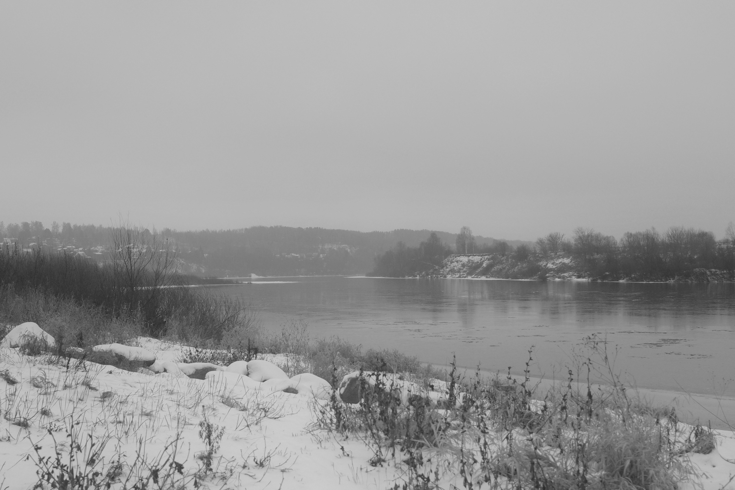 — 2025. Фотограф Злата Спицына