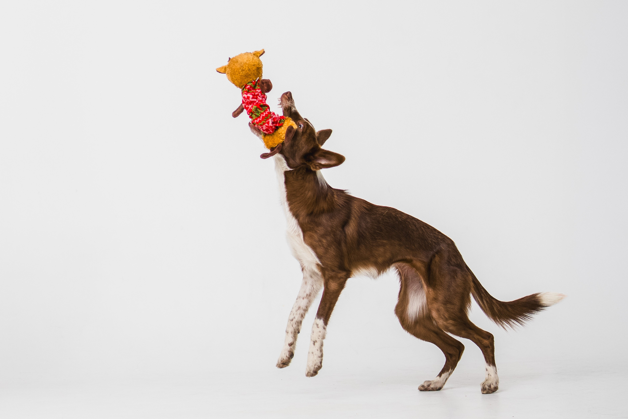 Воркшоп по импульсному свету