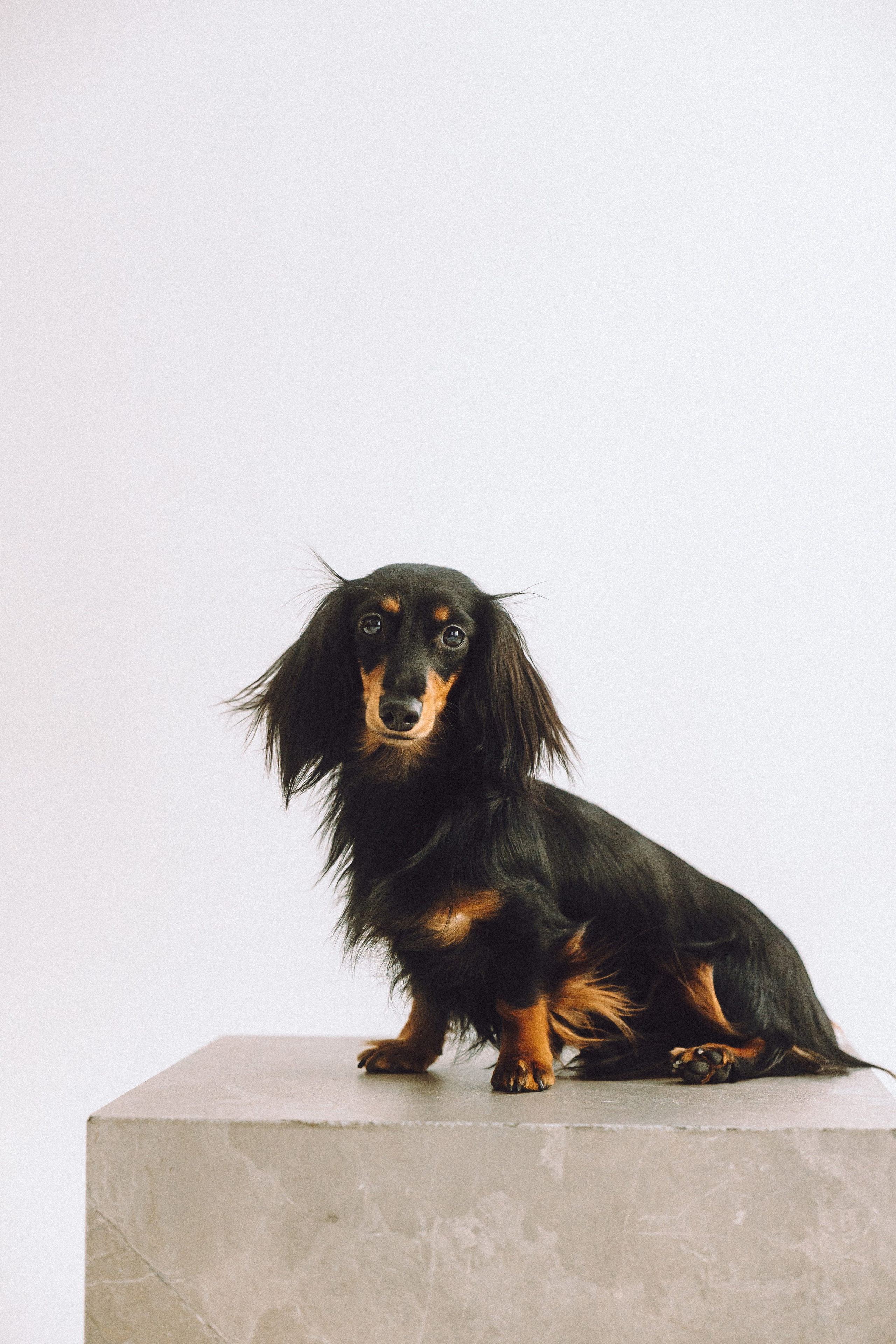 Натали, Свят и Эни