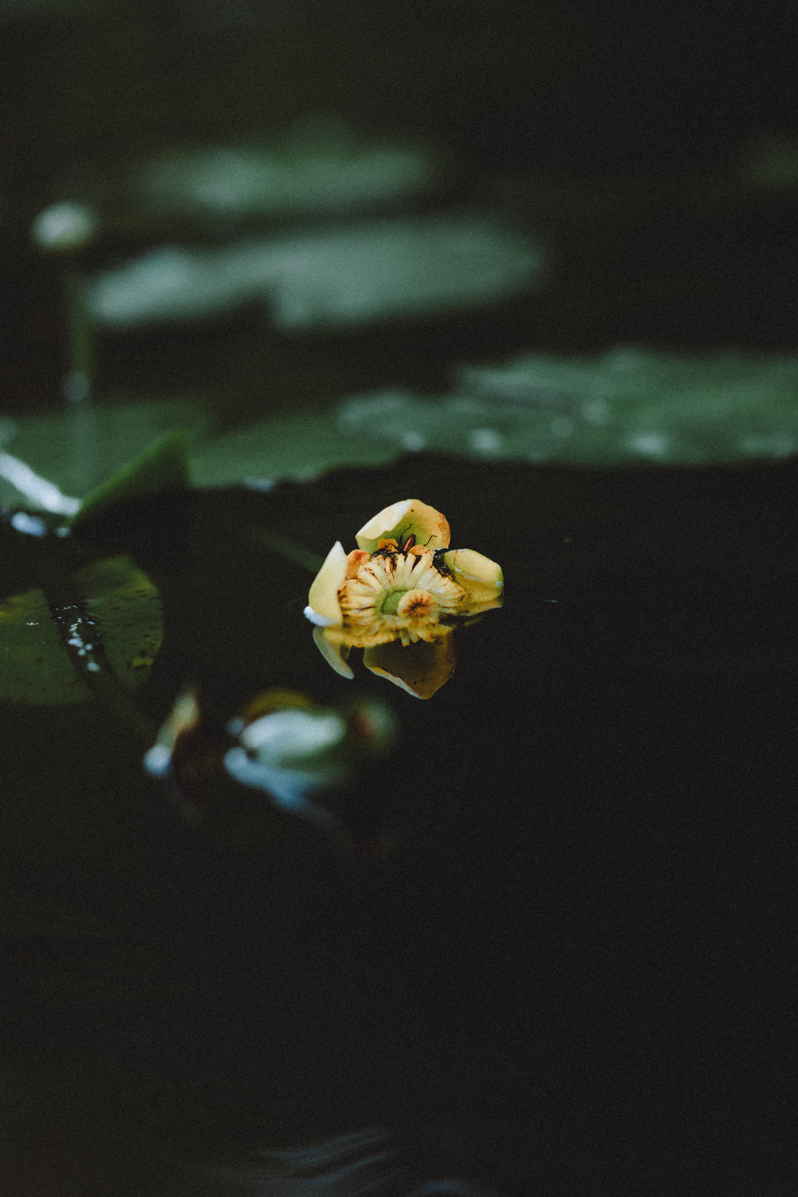 Маша и Джерри