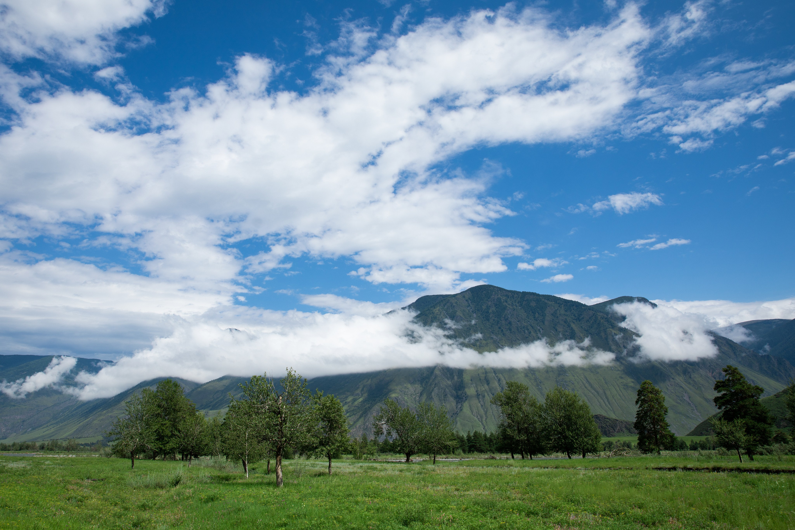 Altai. Yulia Tsyganova