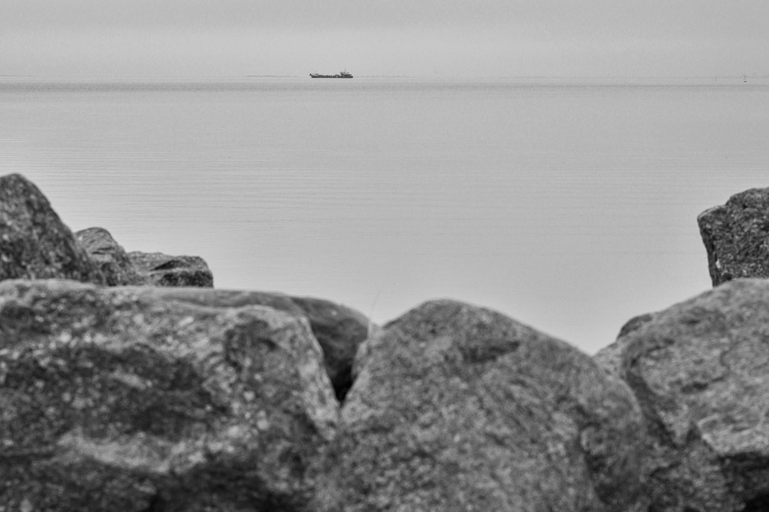 Dimitri Bakhtadze, single works photos. Dimitri Bakhtadze photographer