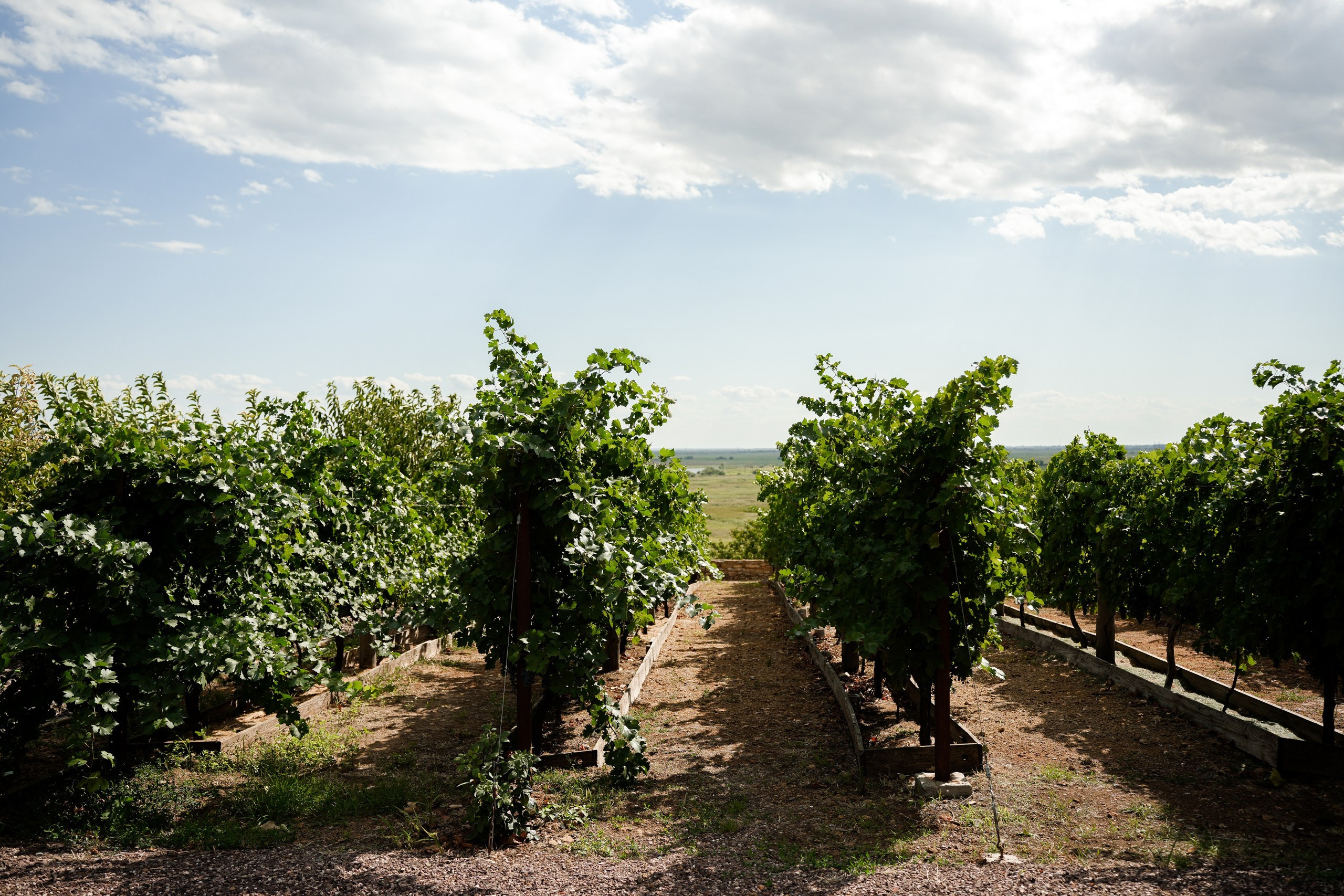 Фотограф Ростов, свадебный фотограф Роств, фотограф Донецк, свадебный фотограф РНД, свадебный фотограф Москва, свадебный фотограф Сочи. Свадебный фотограф и видеограф в Ростове-на-Дону. Максим и Наталья Лебедевы
