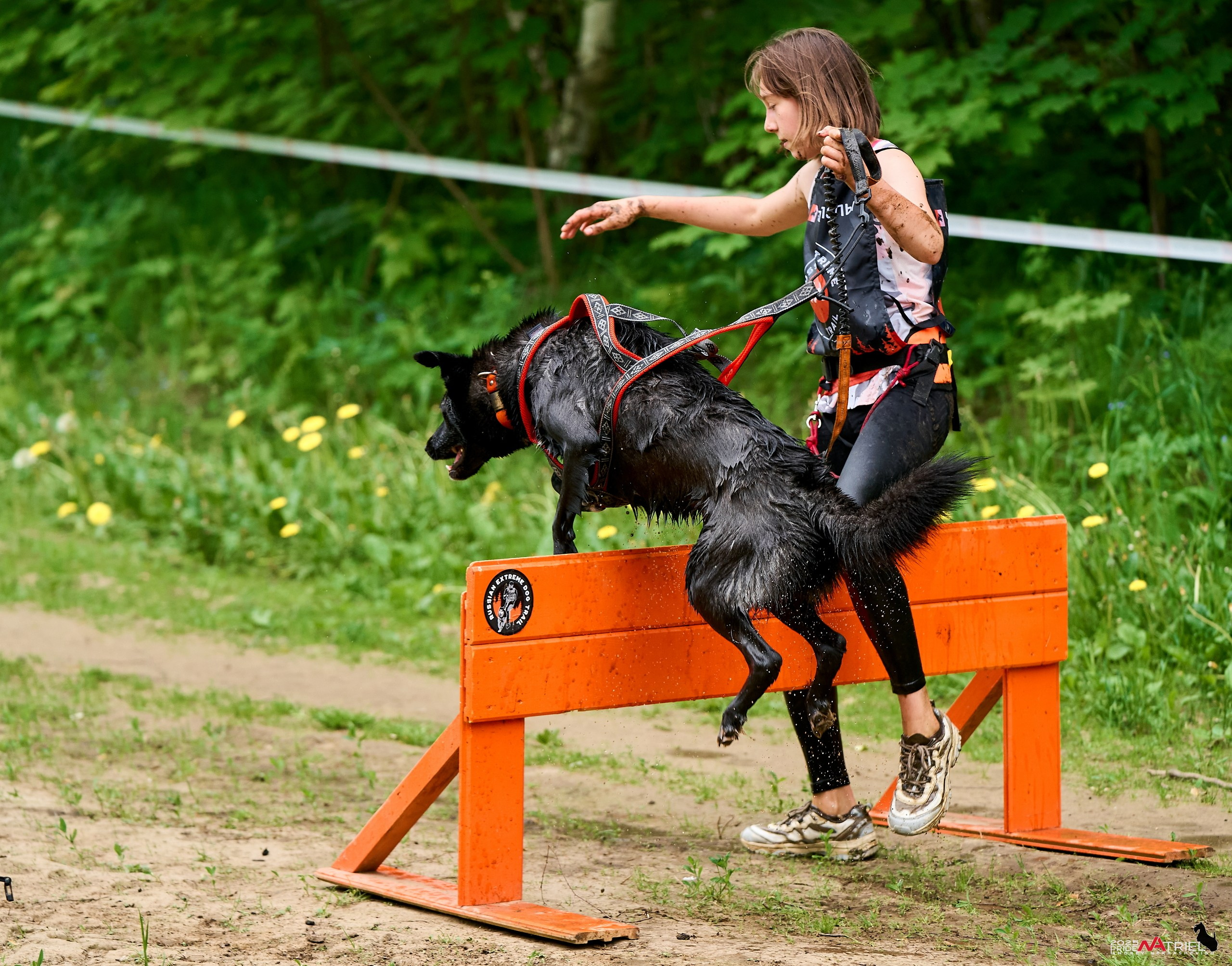 Russian Extreme Dog Trail — 2025