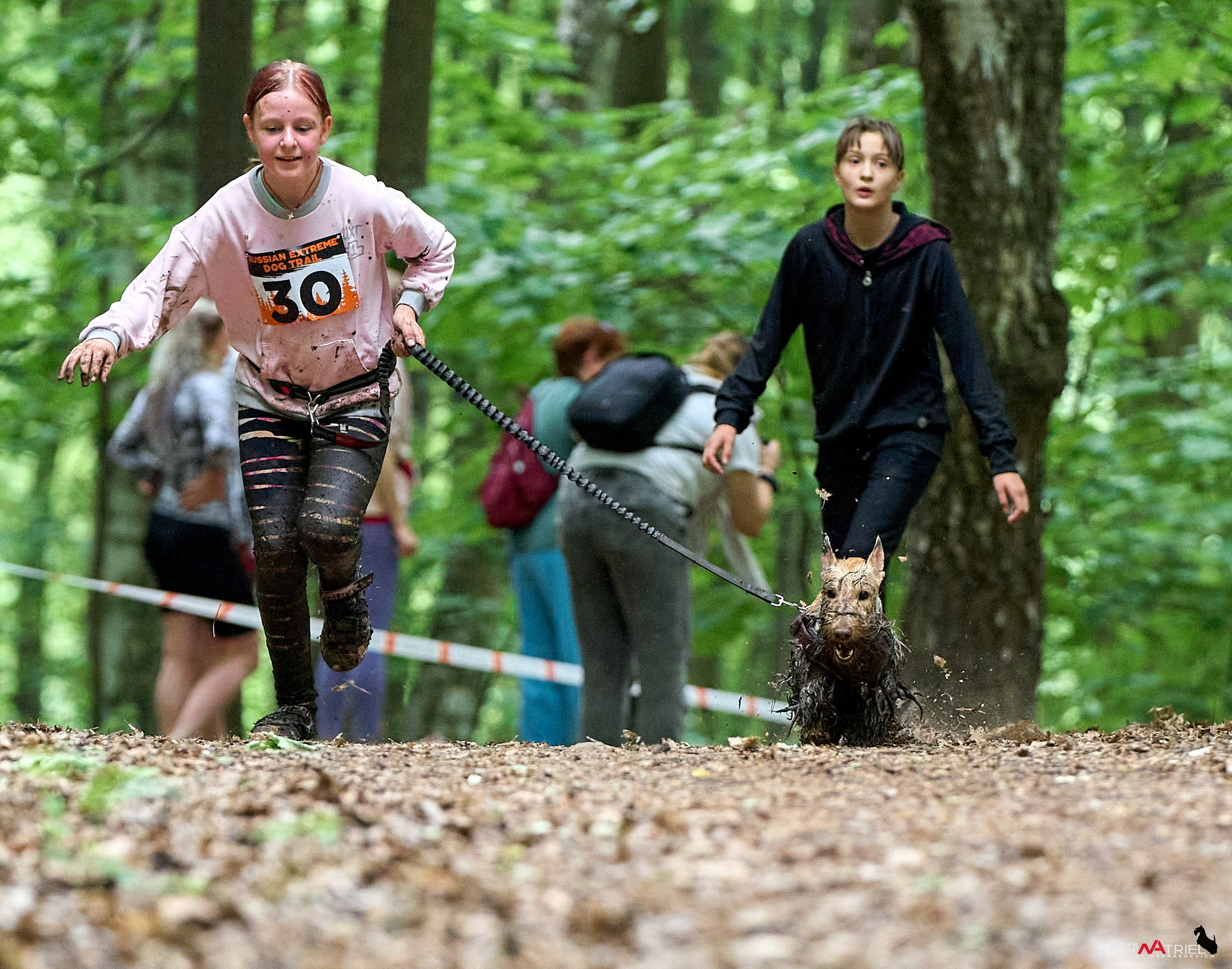Russian Extreme Dog Trail — 2025