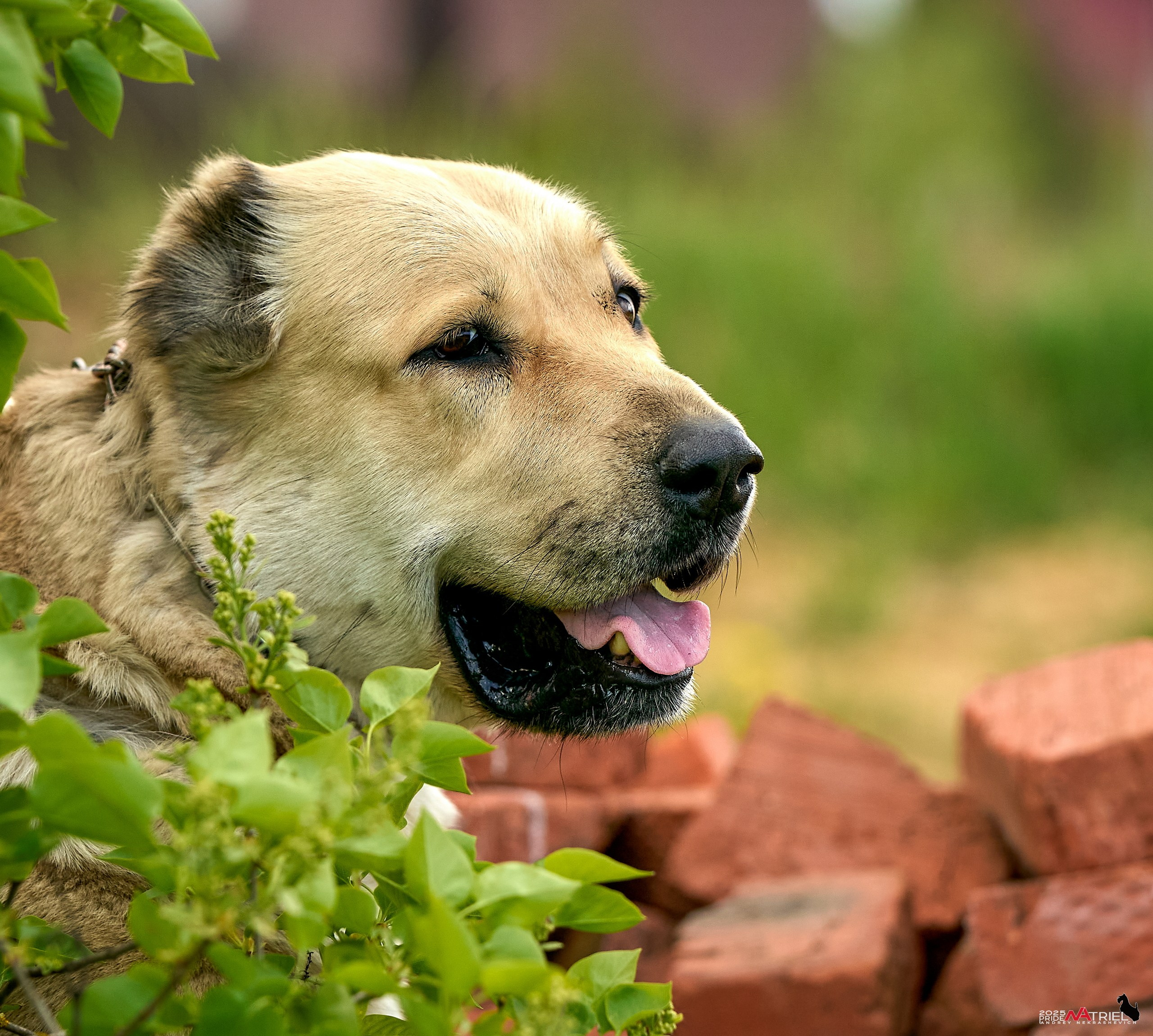 Съемка в питомнике