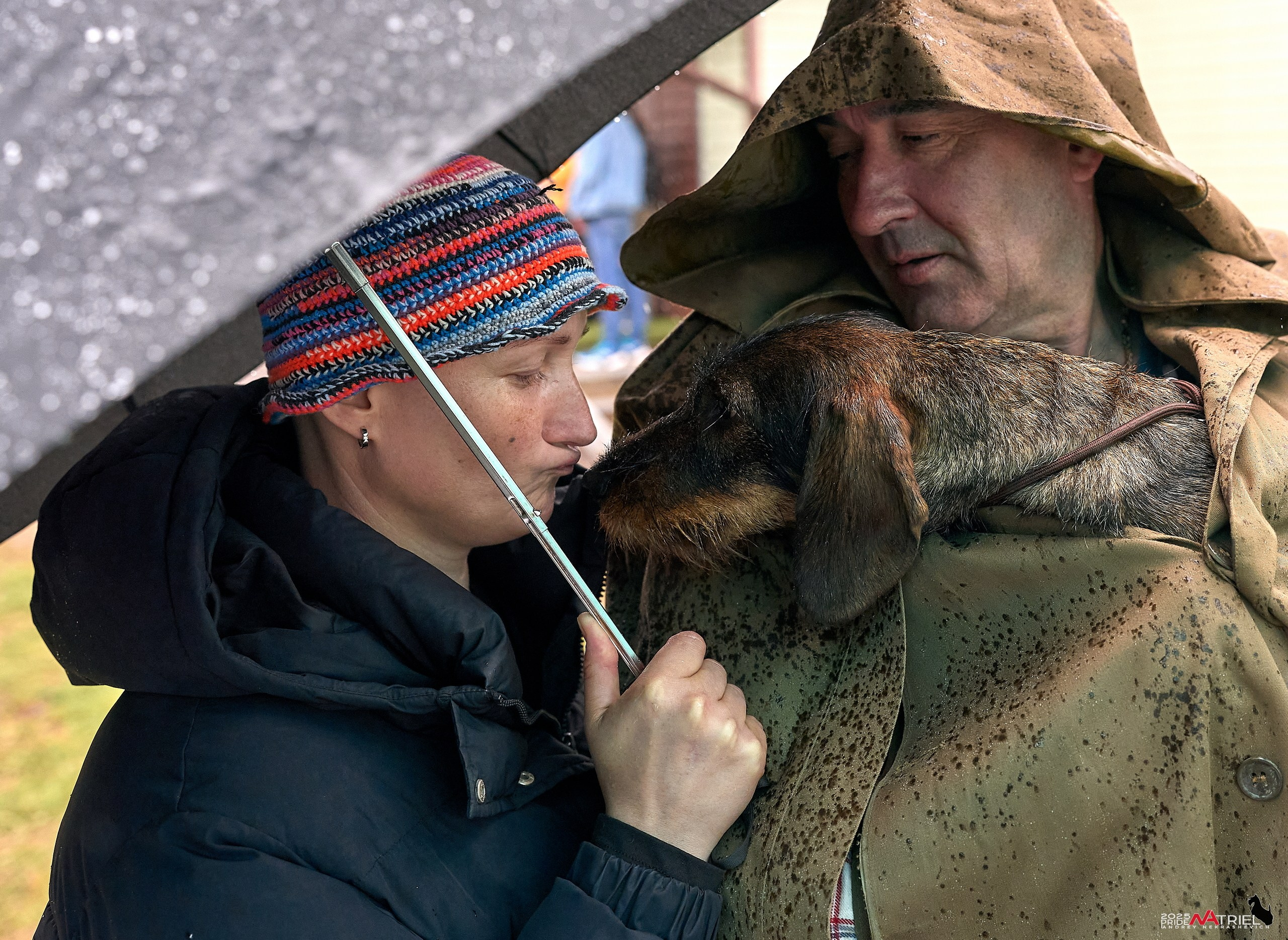 Репортаж с выставки собак