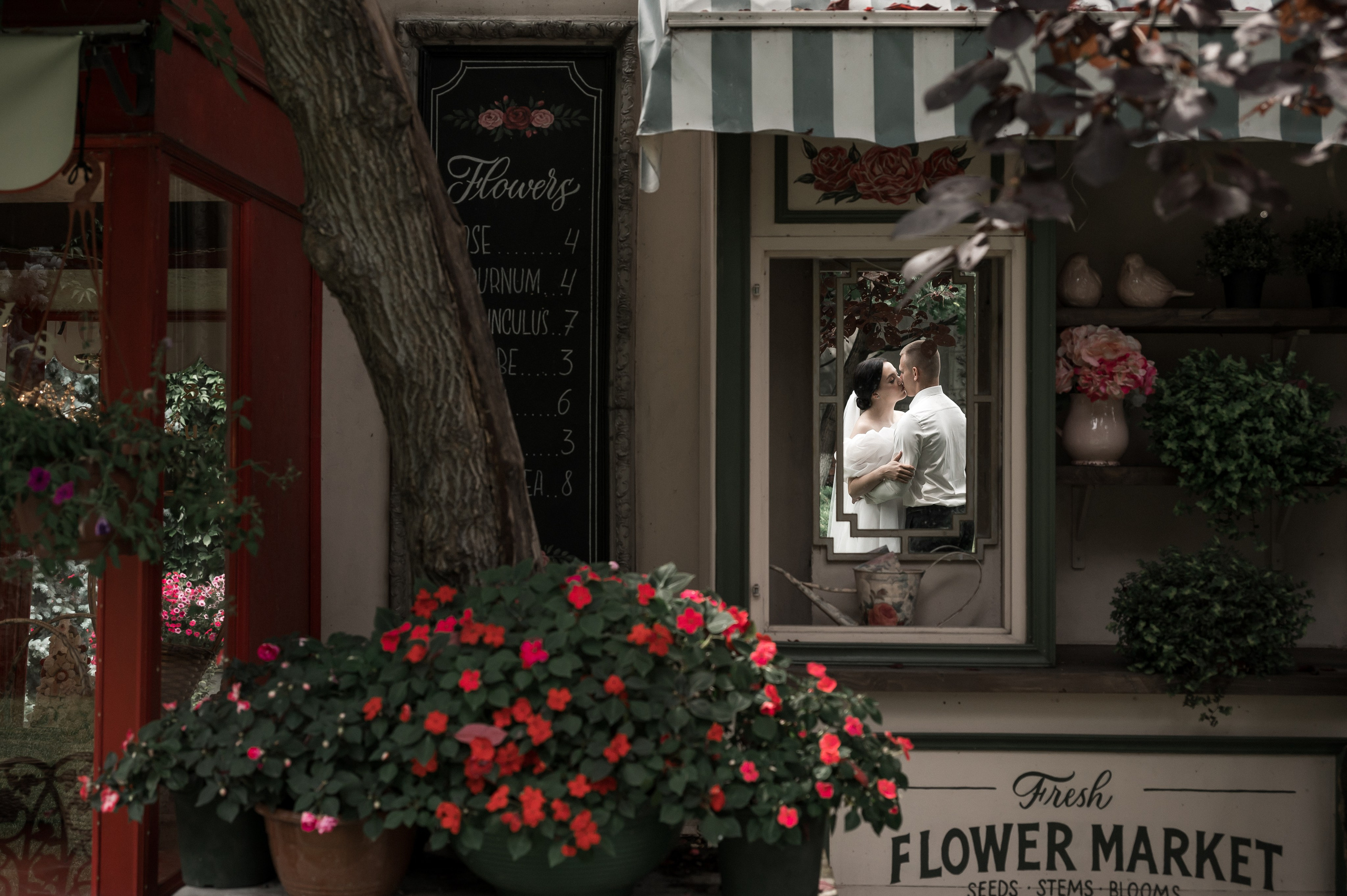 Илья и Елизавета 01.08.25. Свадебный фотограф в Новосибирске. Александра Верхушина