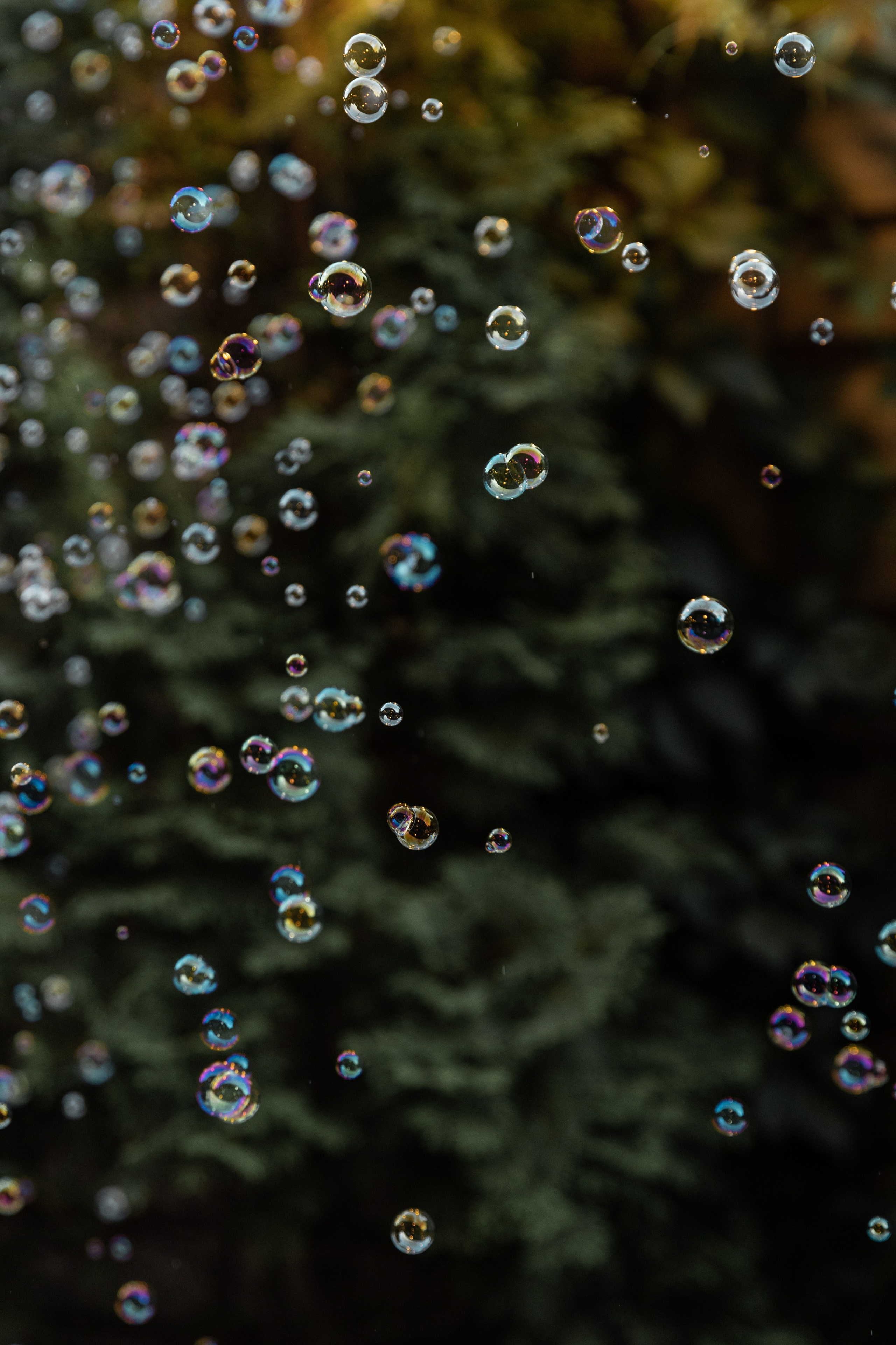 Дария & Александр. Свадебный и портретный фотограф в Воронеже Алфёрова Оксана