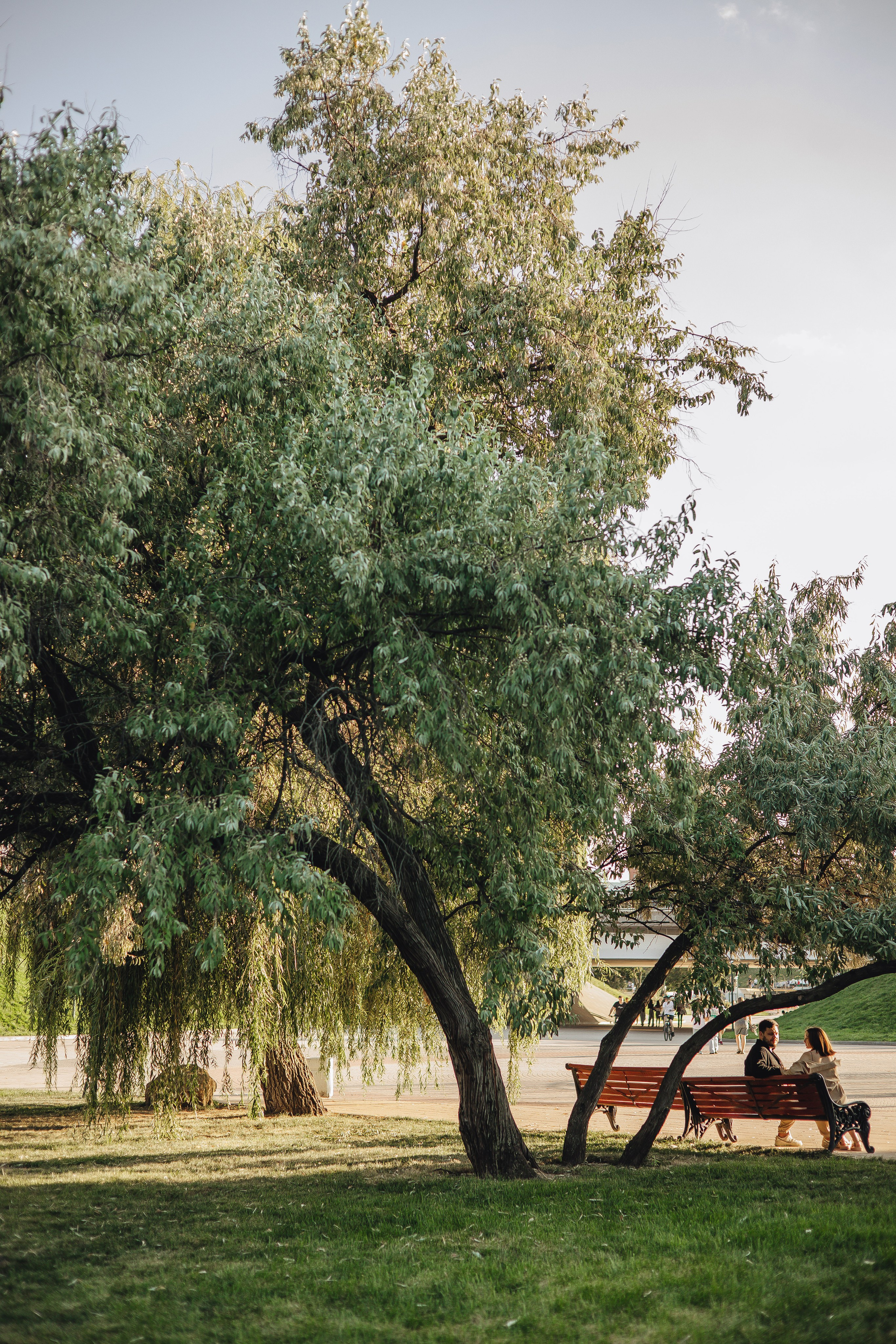 Сережа и Аня. Улицы. Свадебный и семейный фотограф Пушкин Царское Село СПБ Питер Санкт-Петербург и Рязань Ольга Козлова