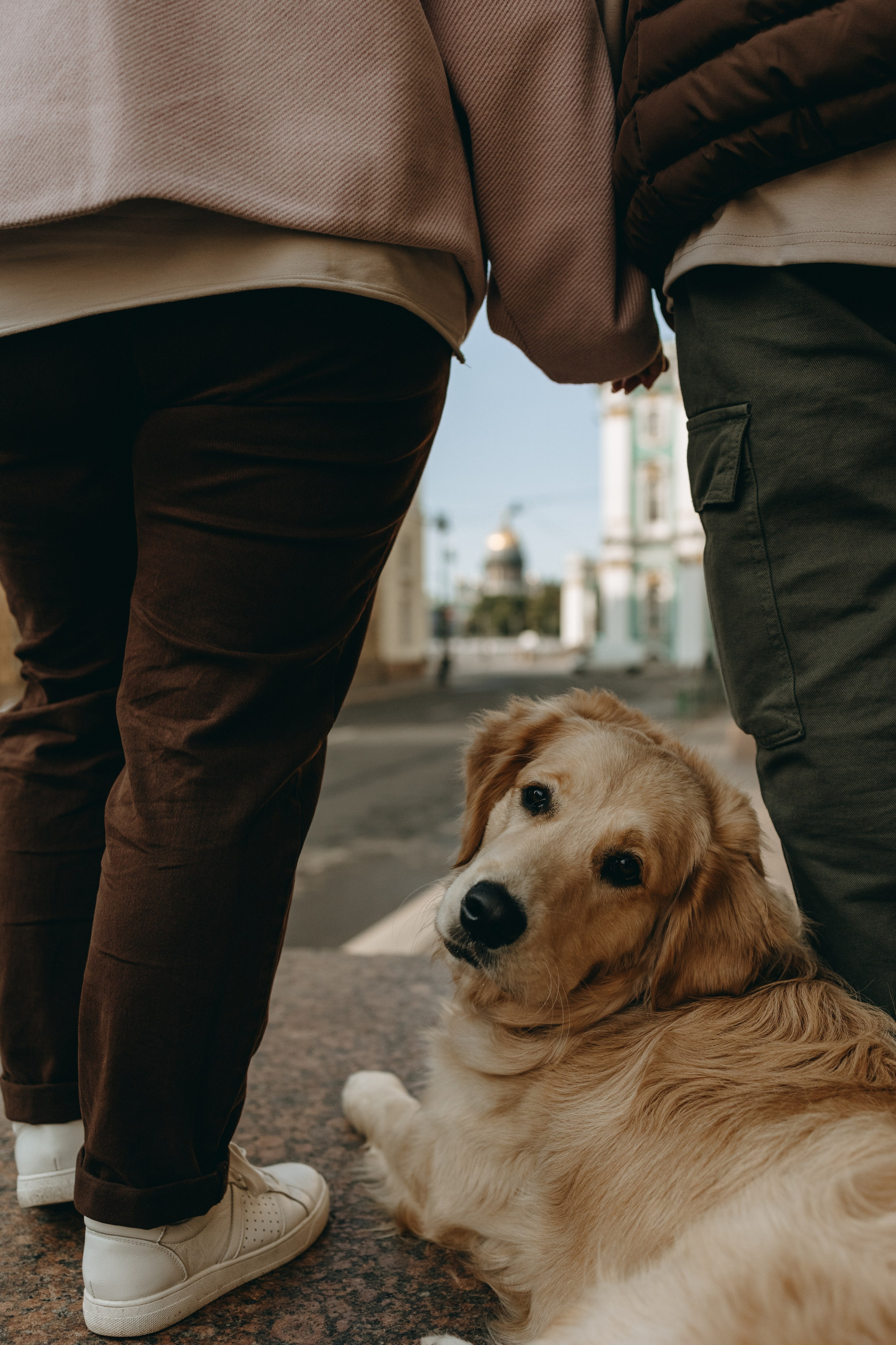 Бетти и ее семья. Фотограф — Анималист | Санкт-Петербург