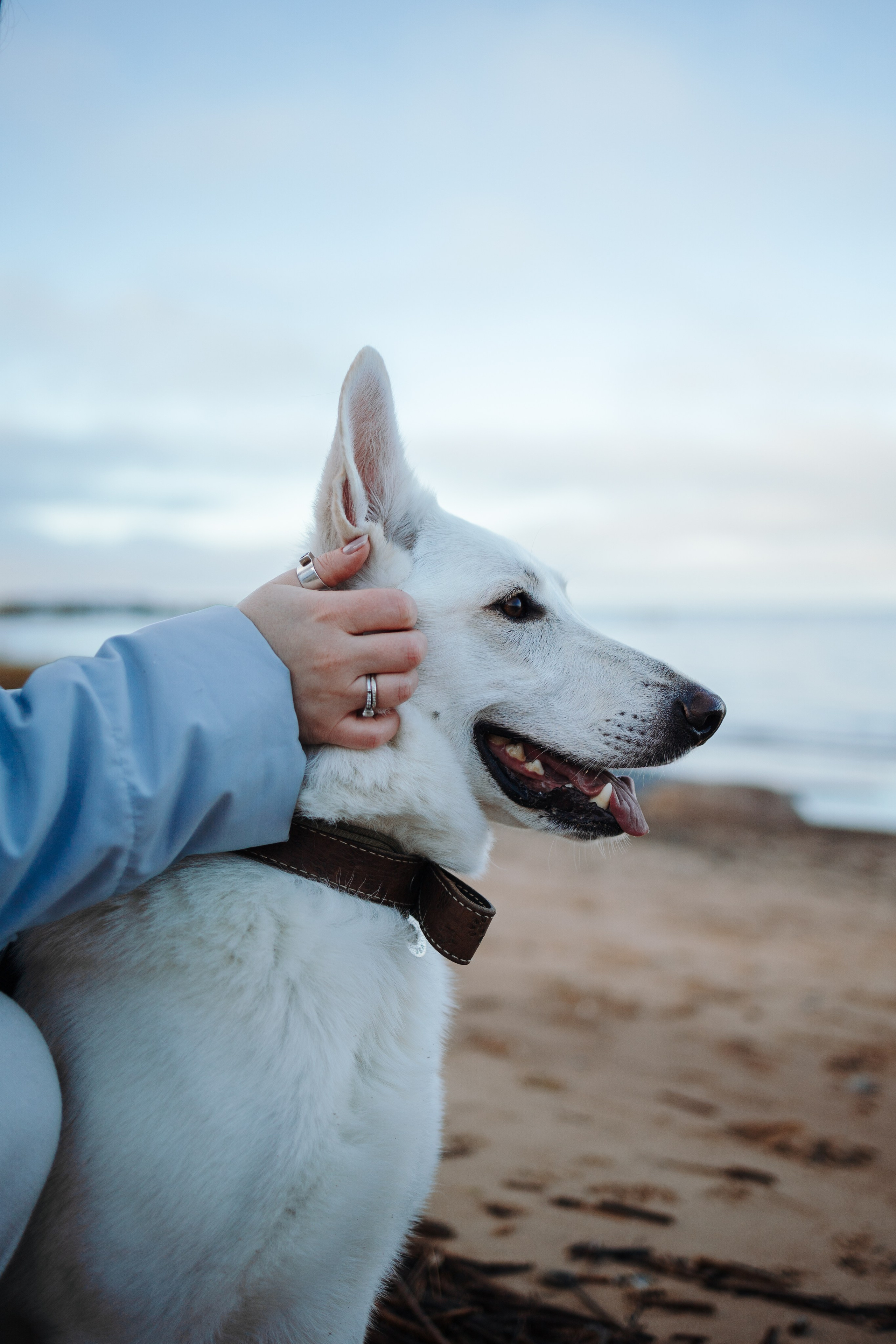 Настя и Эва. Фотограф — Анималист | Санкт-Петербург