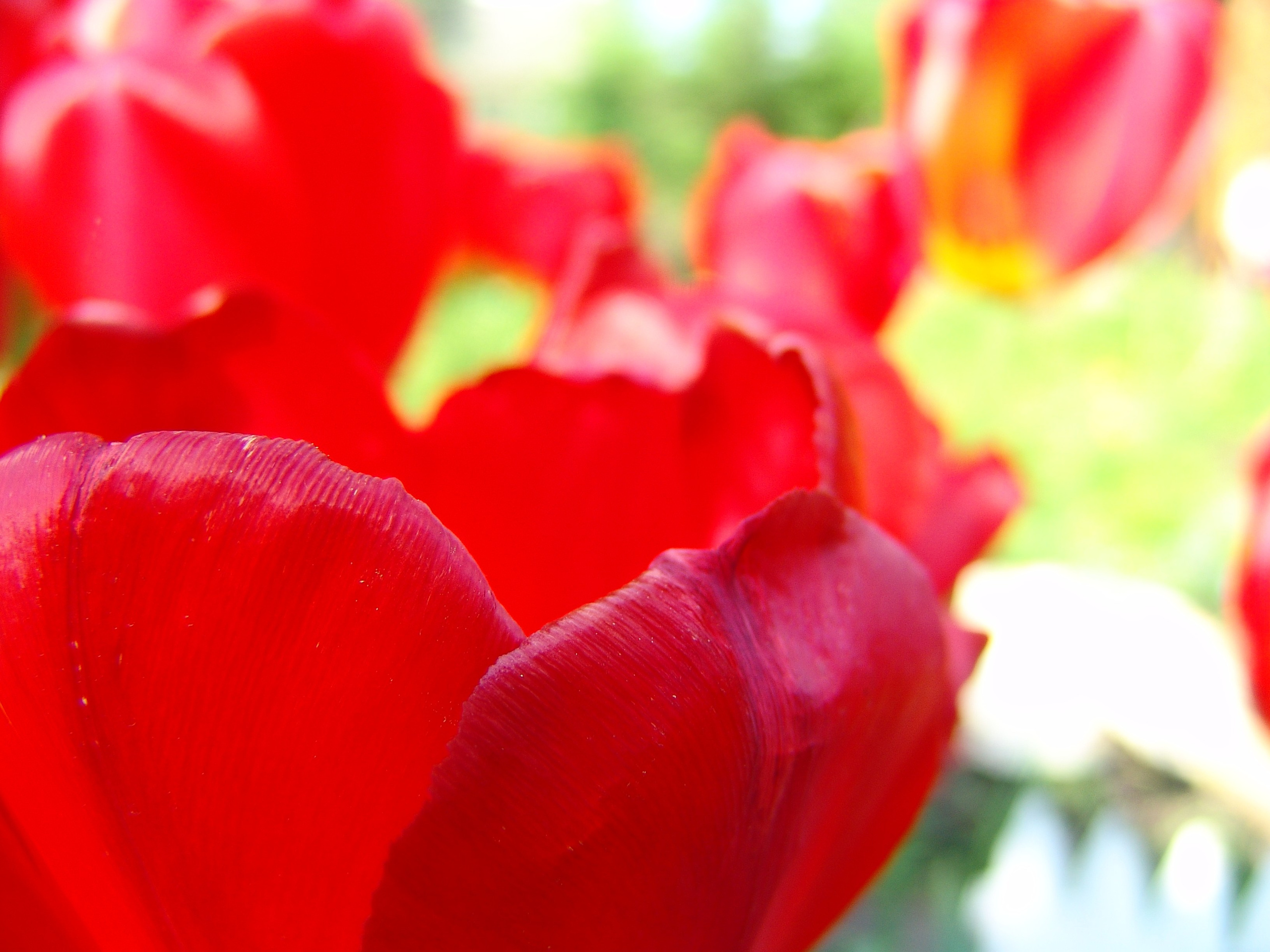 Приезд КС 2005. Заставка