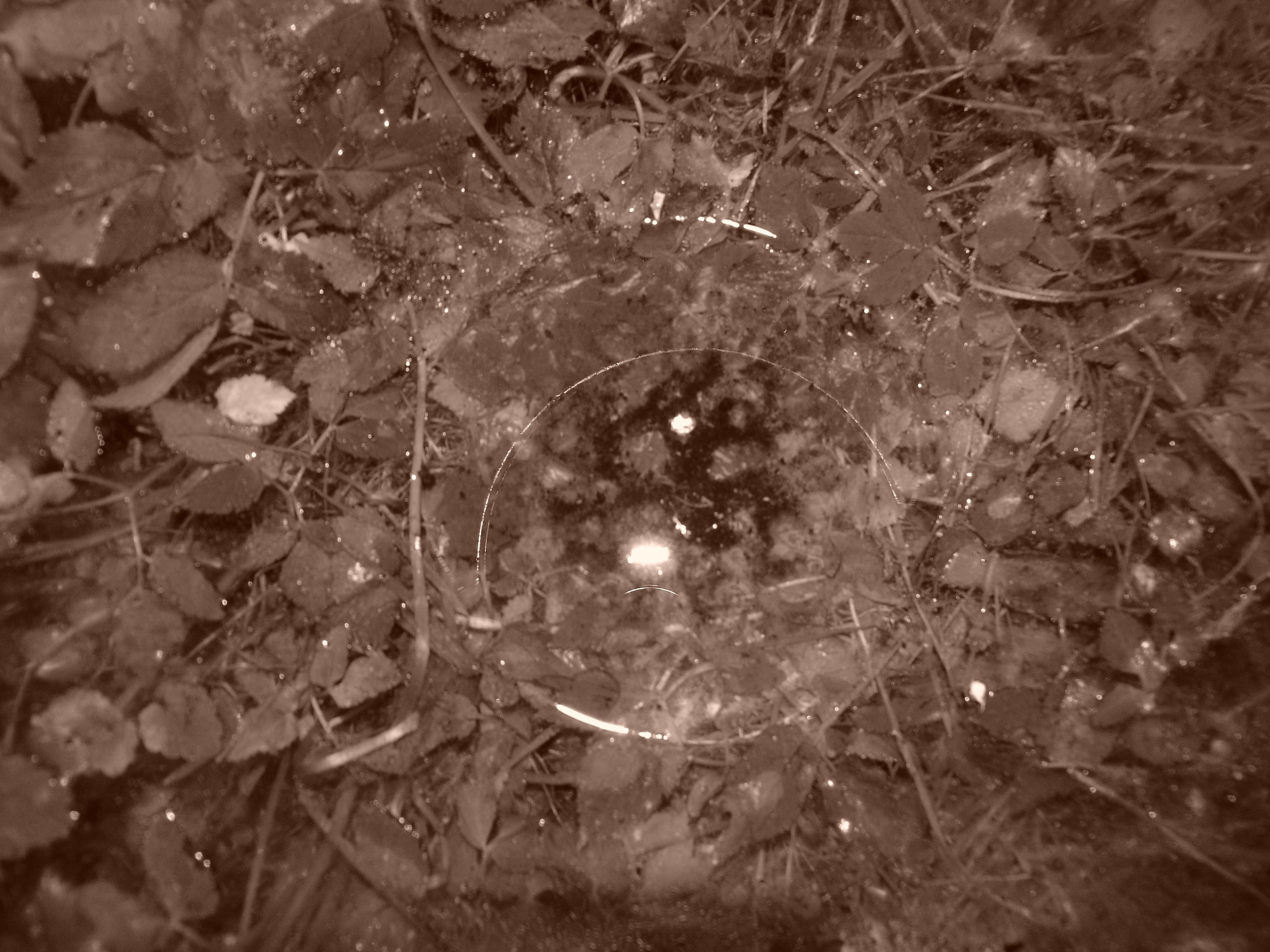 Приезд КС 2005. Заставка