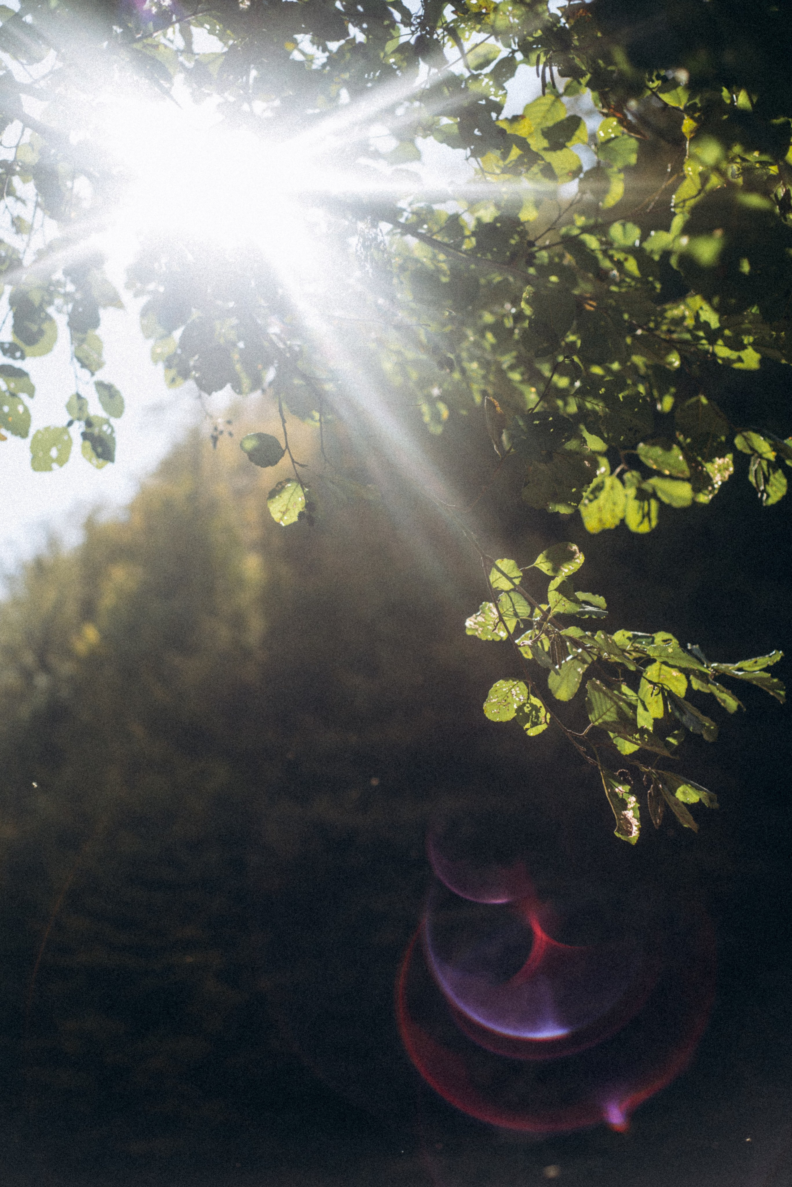 Конный поход 🇬🇪 «PVD Club». Anita_photo