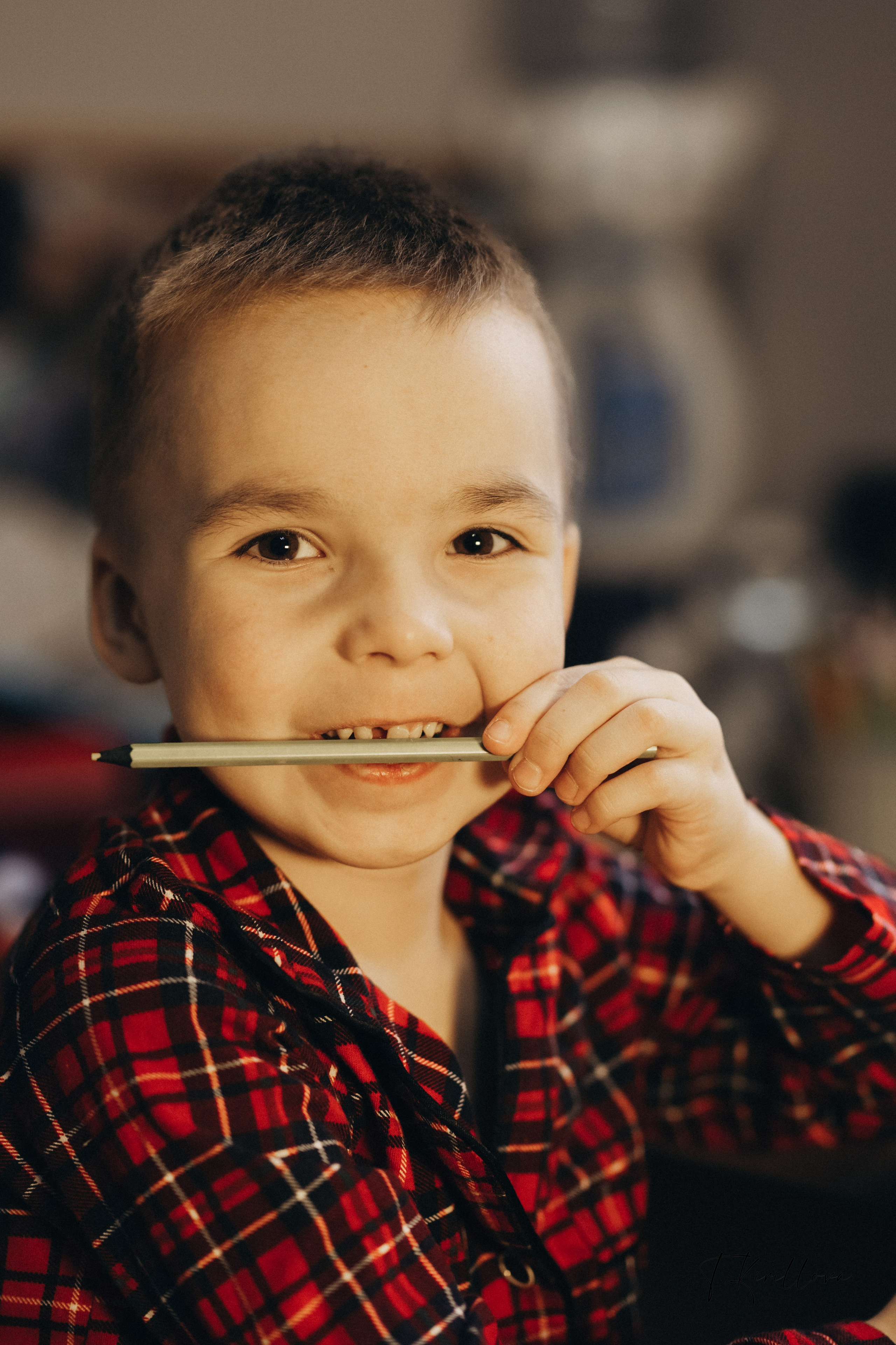 Новогоднее утро. Фотограф-анималист в Москве Кириллова Татьяна