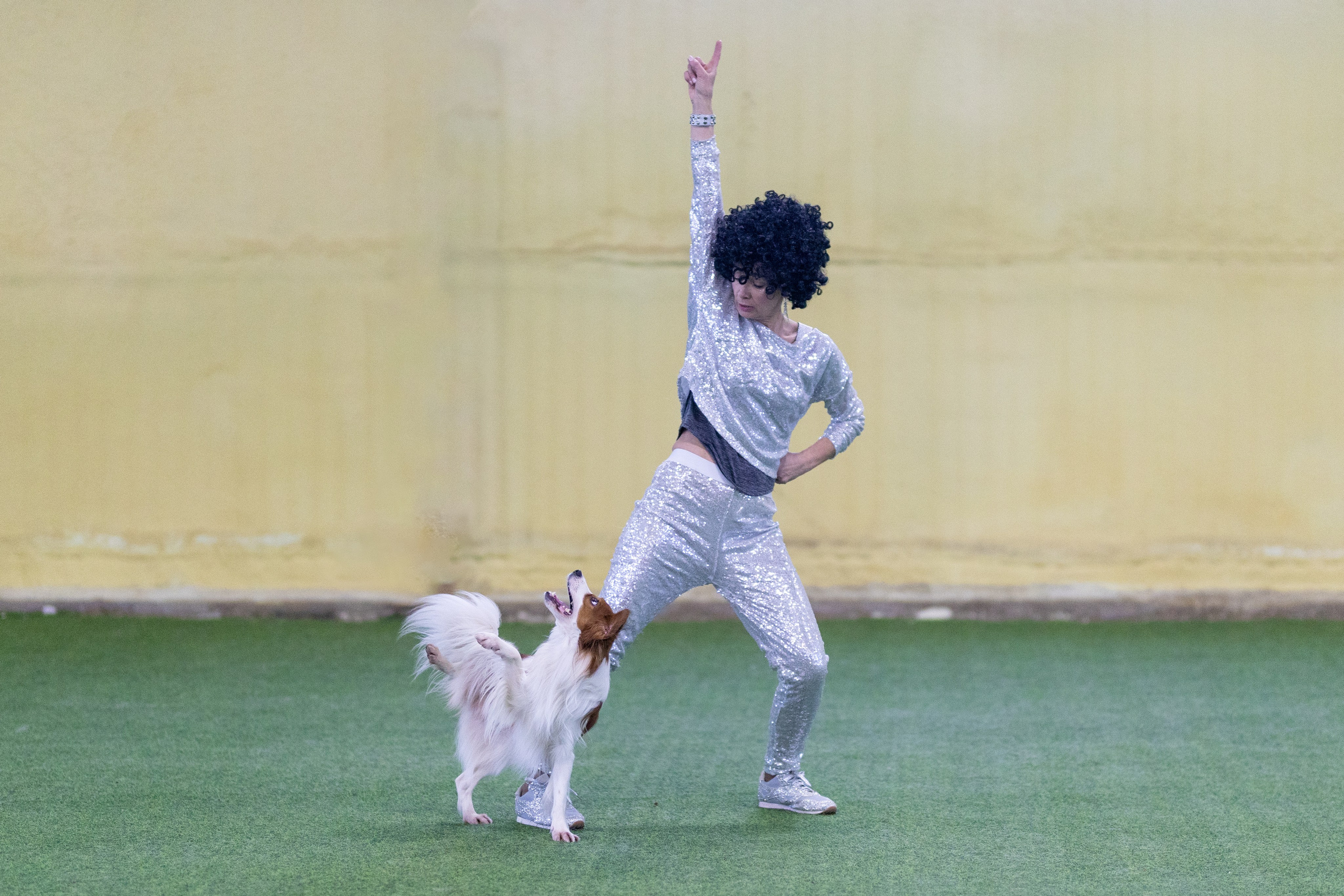 Соревнования танцы. Фотограф-анималист в Москве Кириллова Татьяна