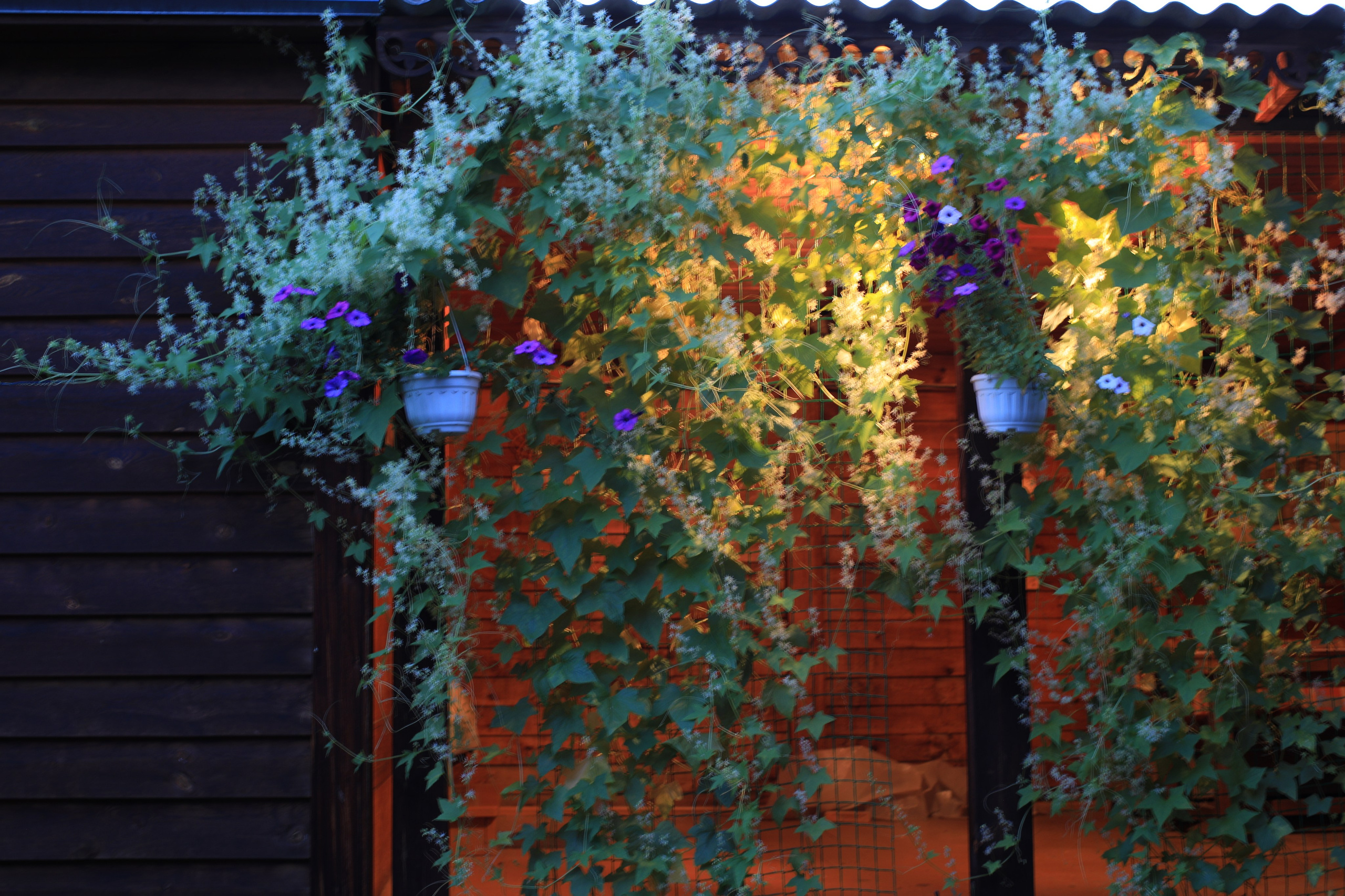 2020. Тащилин Сергей. Фотографии. Жизнь. Хобби