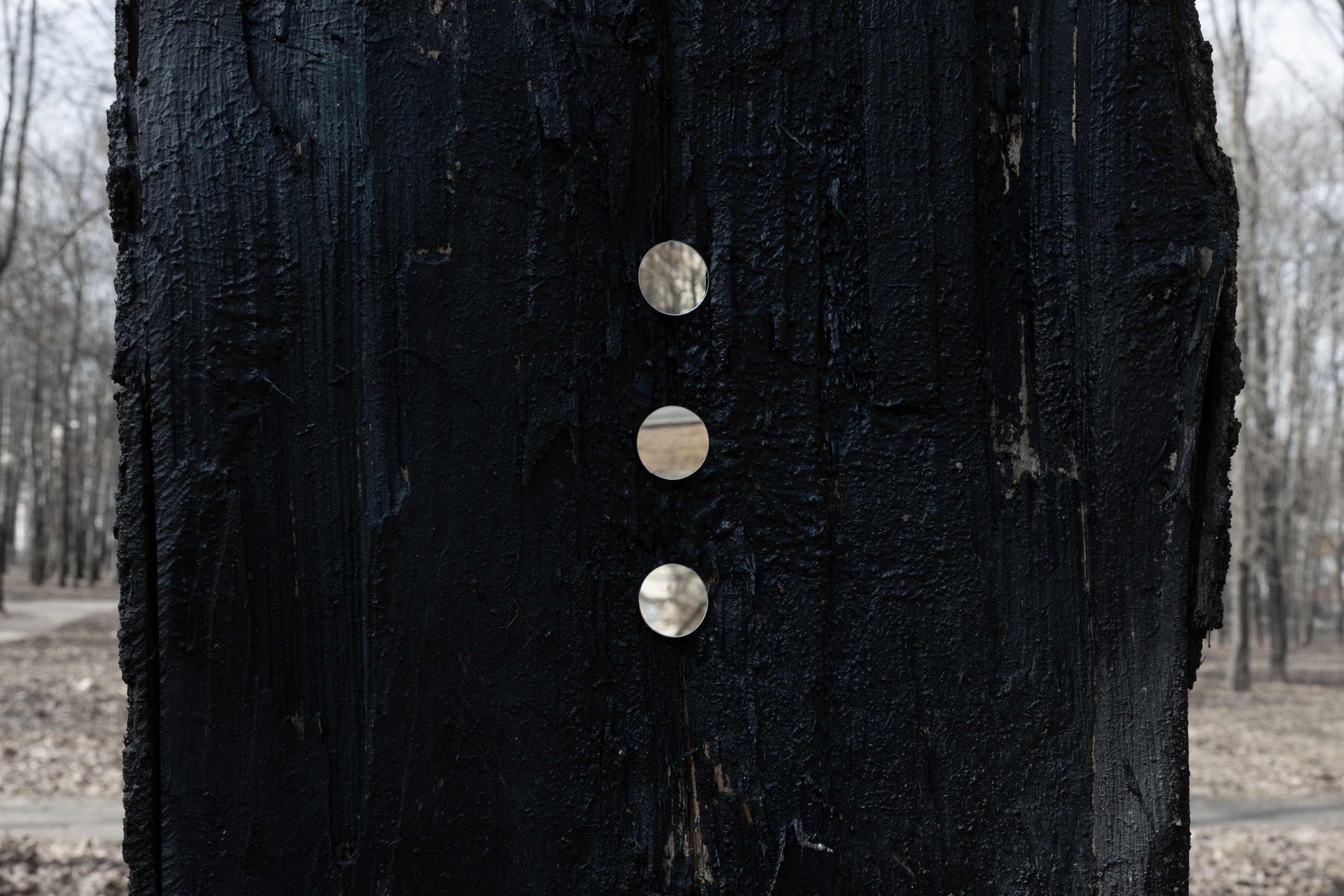 Art prints. Фотограф алина стерхова, алина стерхова фотограф, фотограф москва