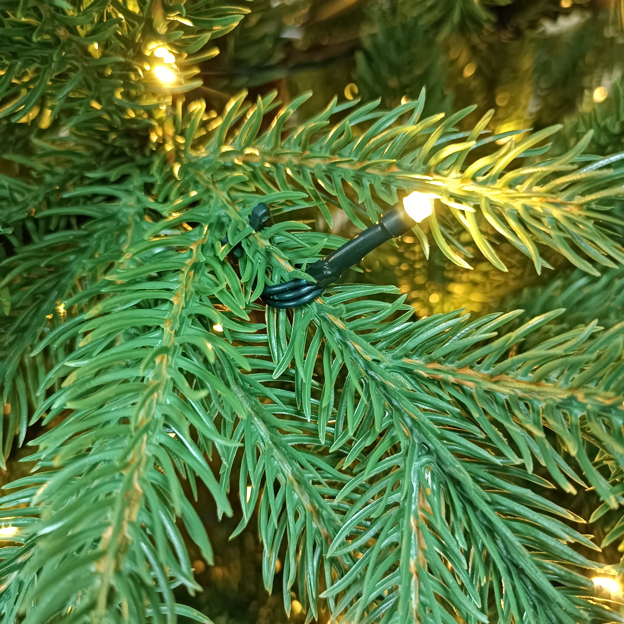 ВЕРСАЛЬСКАЯ с огоньками. Elki_grodno