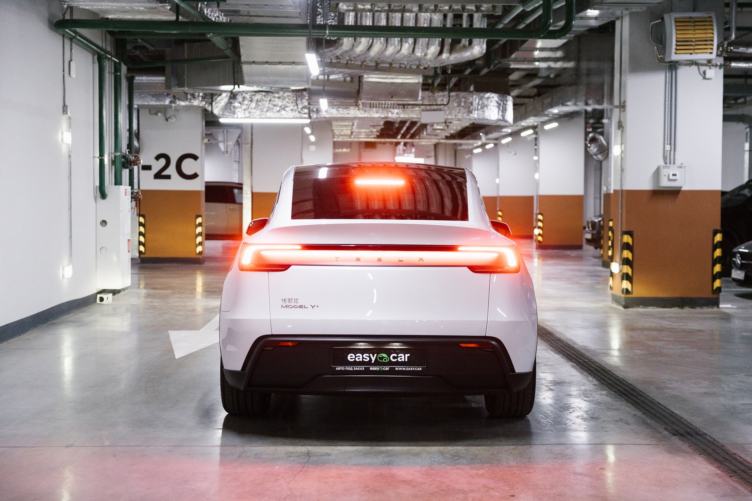 Model Y+. Эстетика Sveta