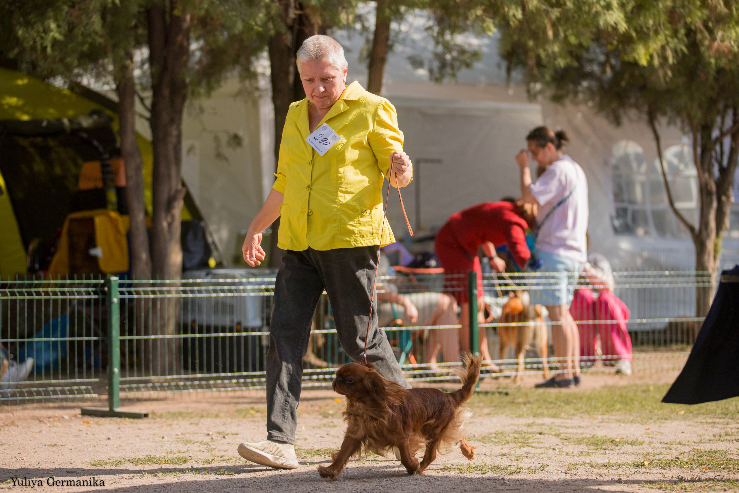 Бишкек 29.09-01.10.2023. Фотограф-анималист Юлия Германика