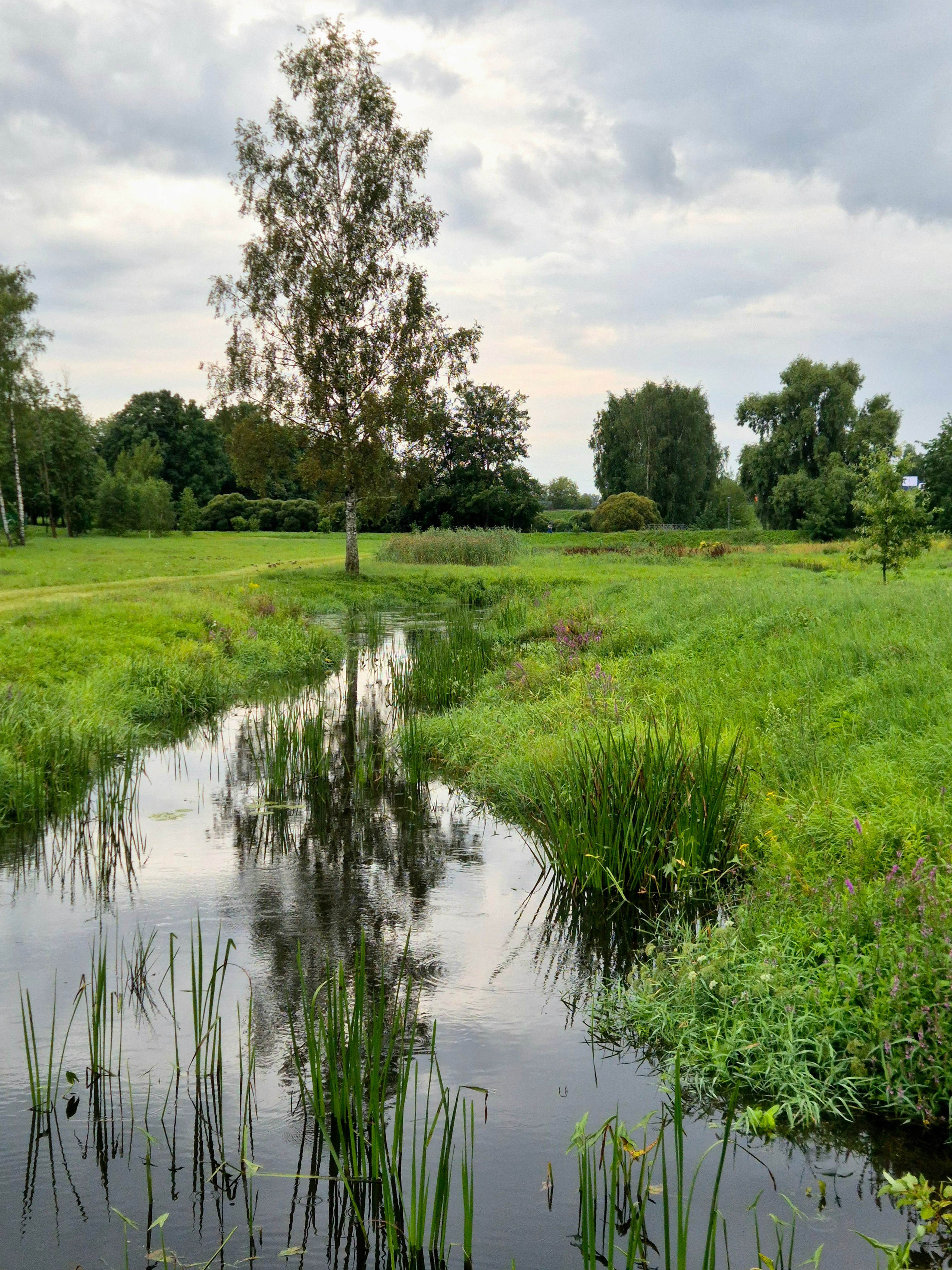 Хотели прокатиться на лодке, но пошел ливень. Переждали, погуляли пешком