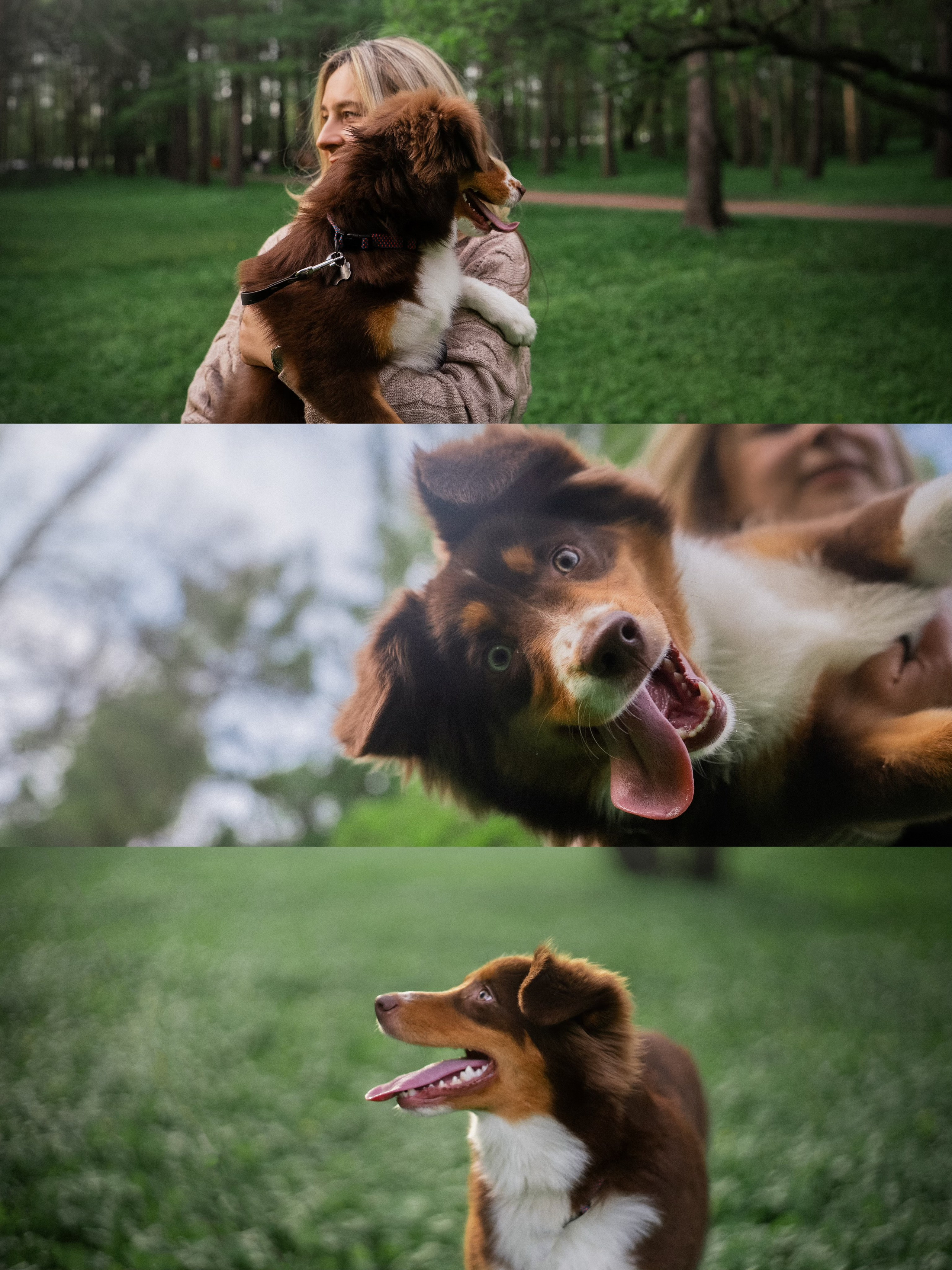 Мария и Брасс. Фотограф анималист в Москве и Санкт-Петербурге Свиридова Анна