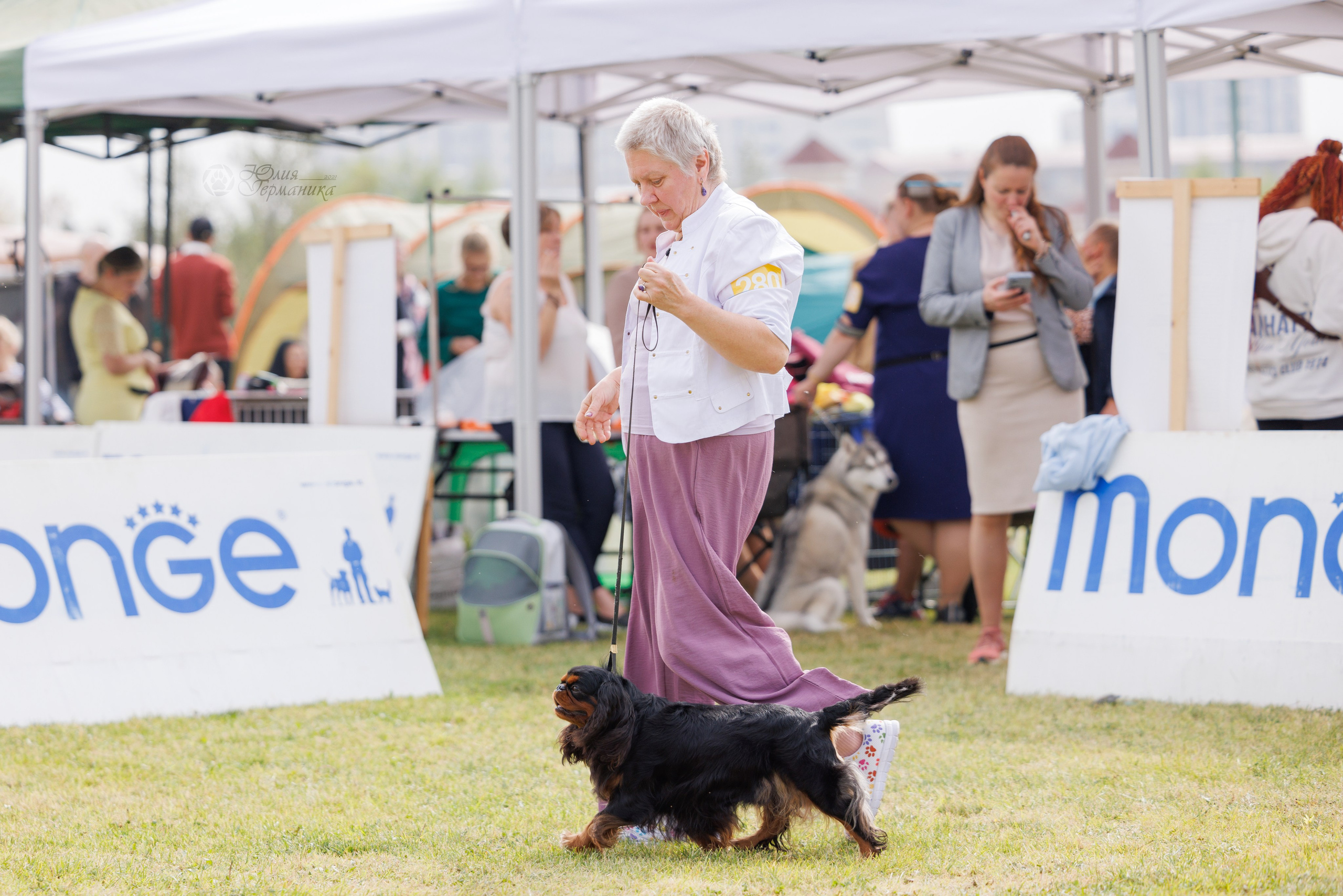 Армения,Ереван 3хCACIB 15-17.10.2024. Фотограф-анималист Юлия Германика