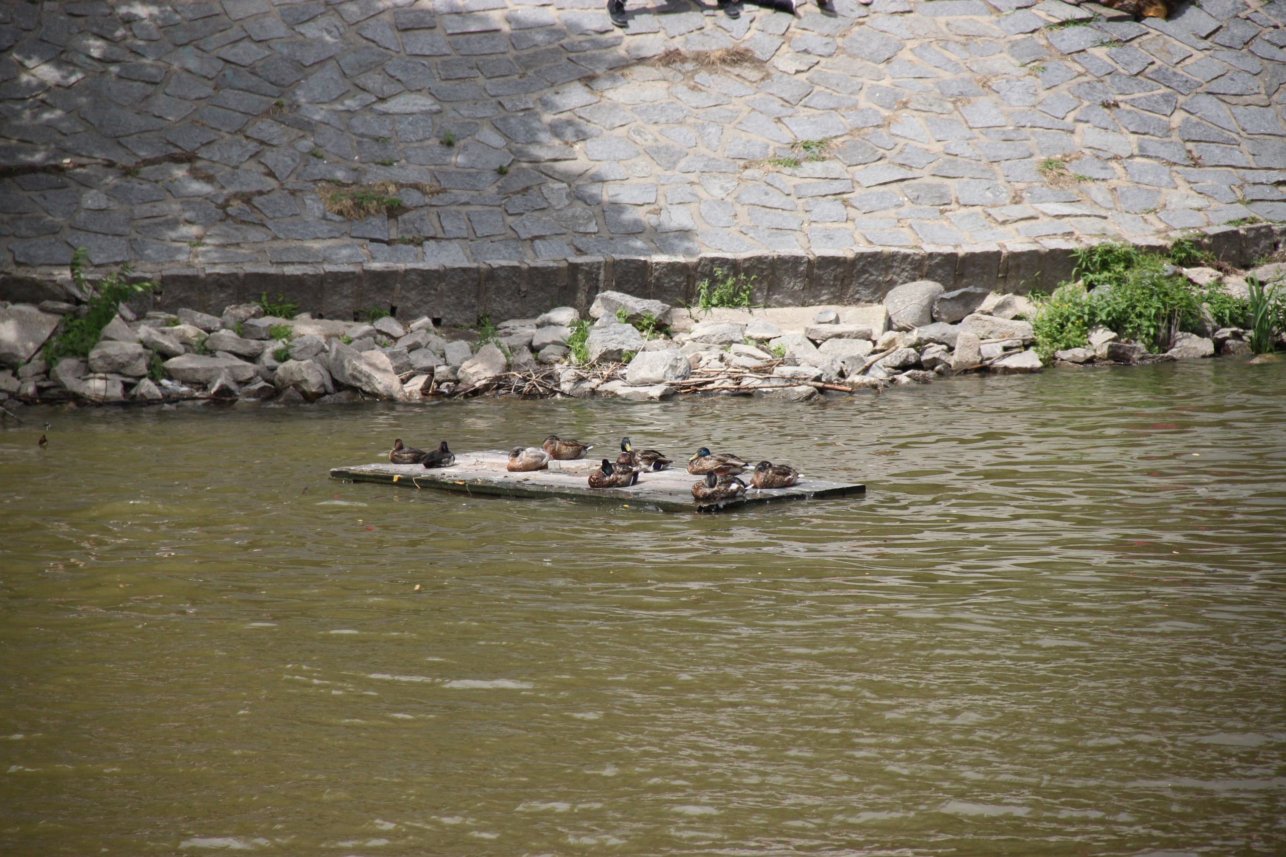 Prague, Czech Republic. Andrey Filippov Photographer