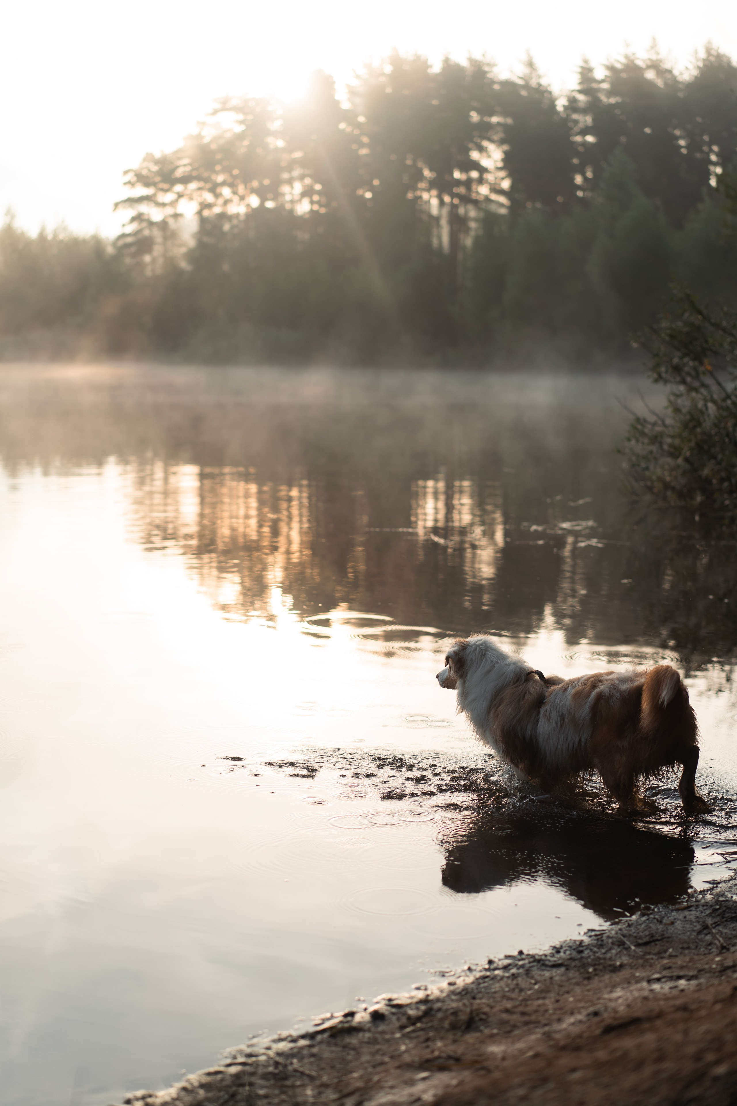 Яна и Панда. Фотограф анималист