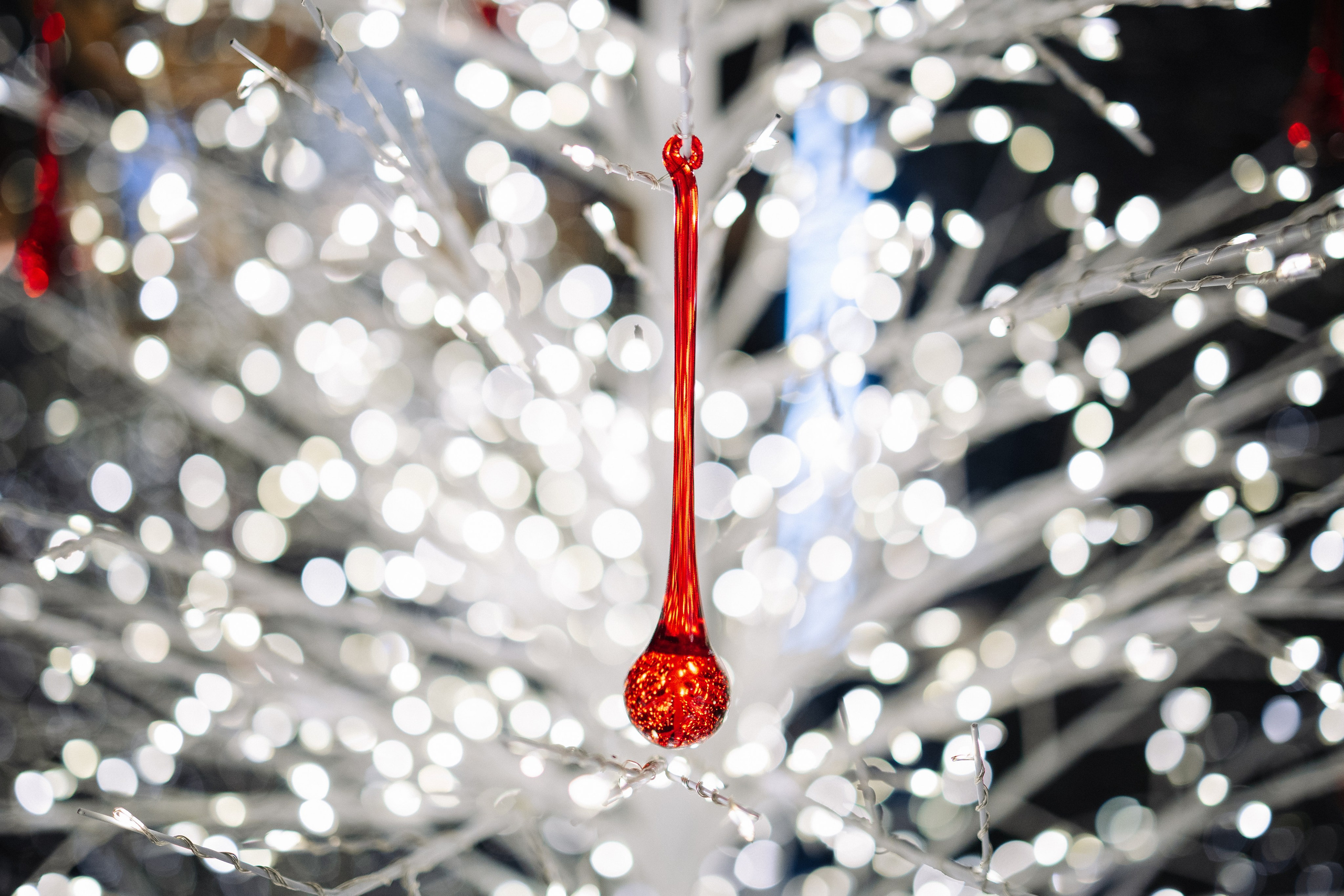 БАРАН РАПАН | РОЖДЕСТВЕНСКИЙ ВЕЧЕР. Фотограф в Сочи Екатерина Потапова