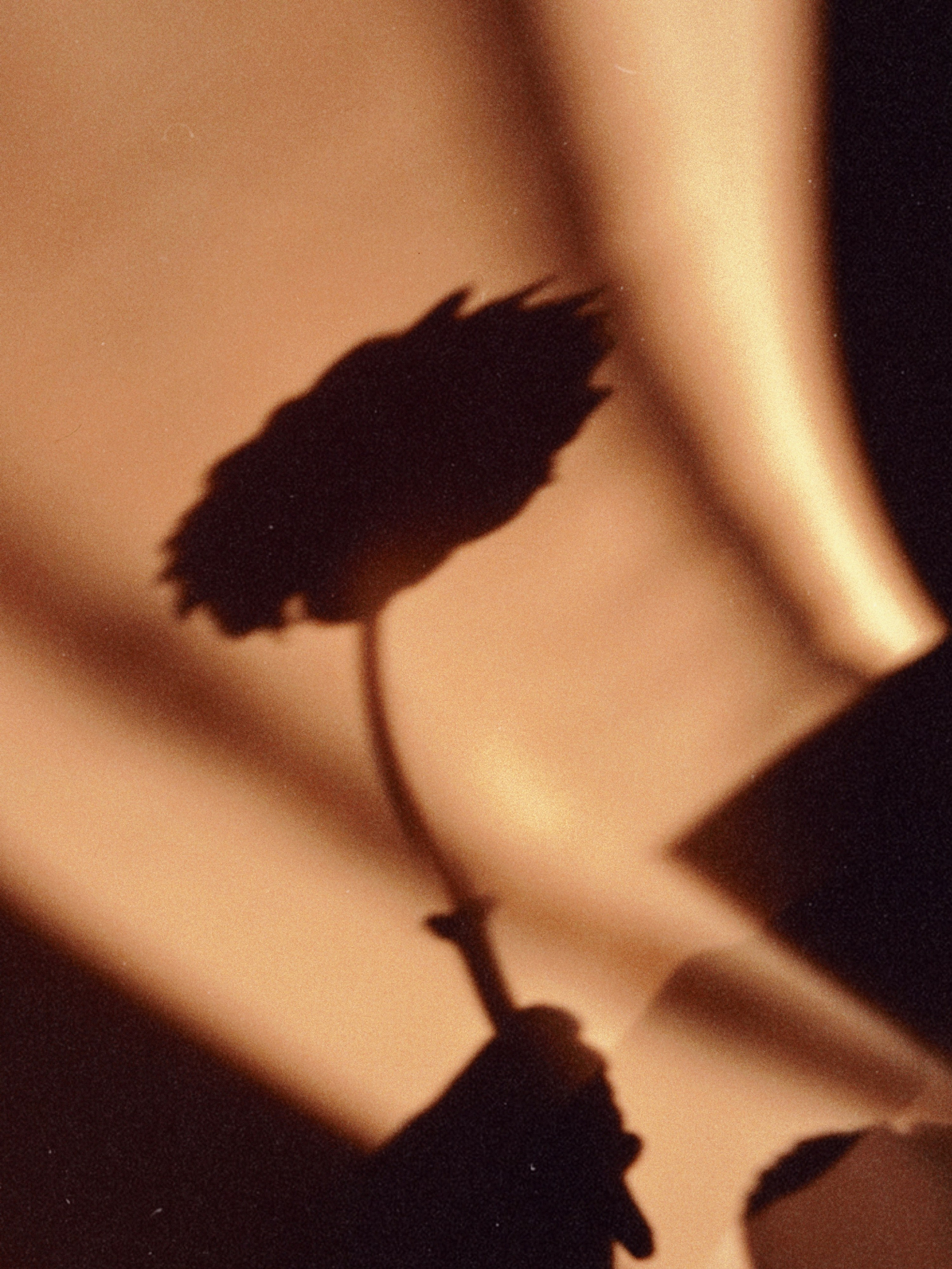 Предметная съёмка. Чувственный мобильный фотограф в Казани и Сочи Дьяченко Дарья