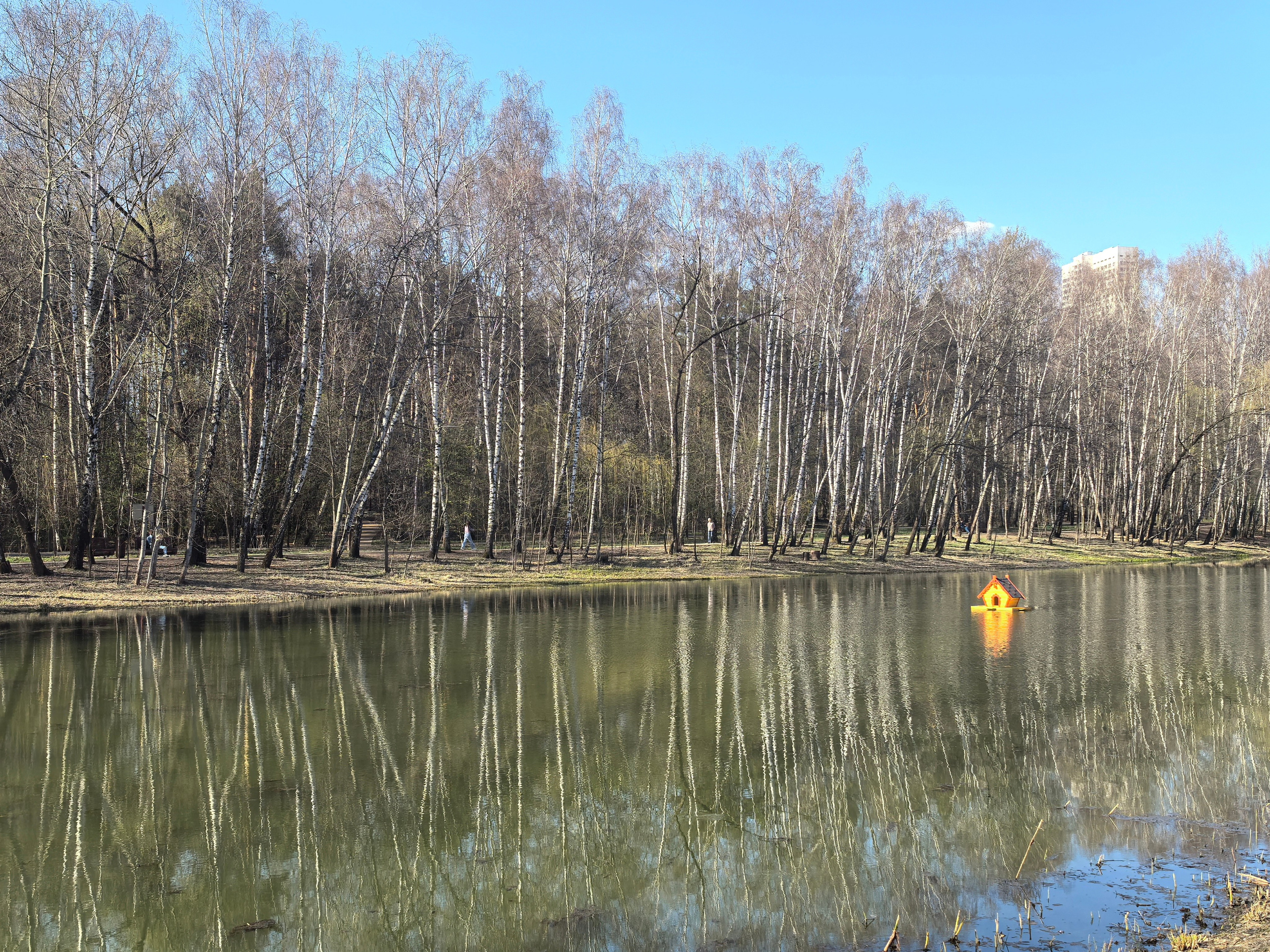 Покровско-Стрешнево. Школьные выпускные альбомы в Москве Марина Николаева