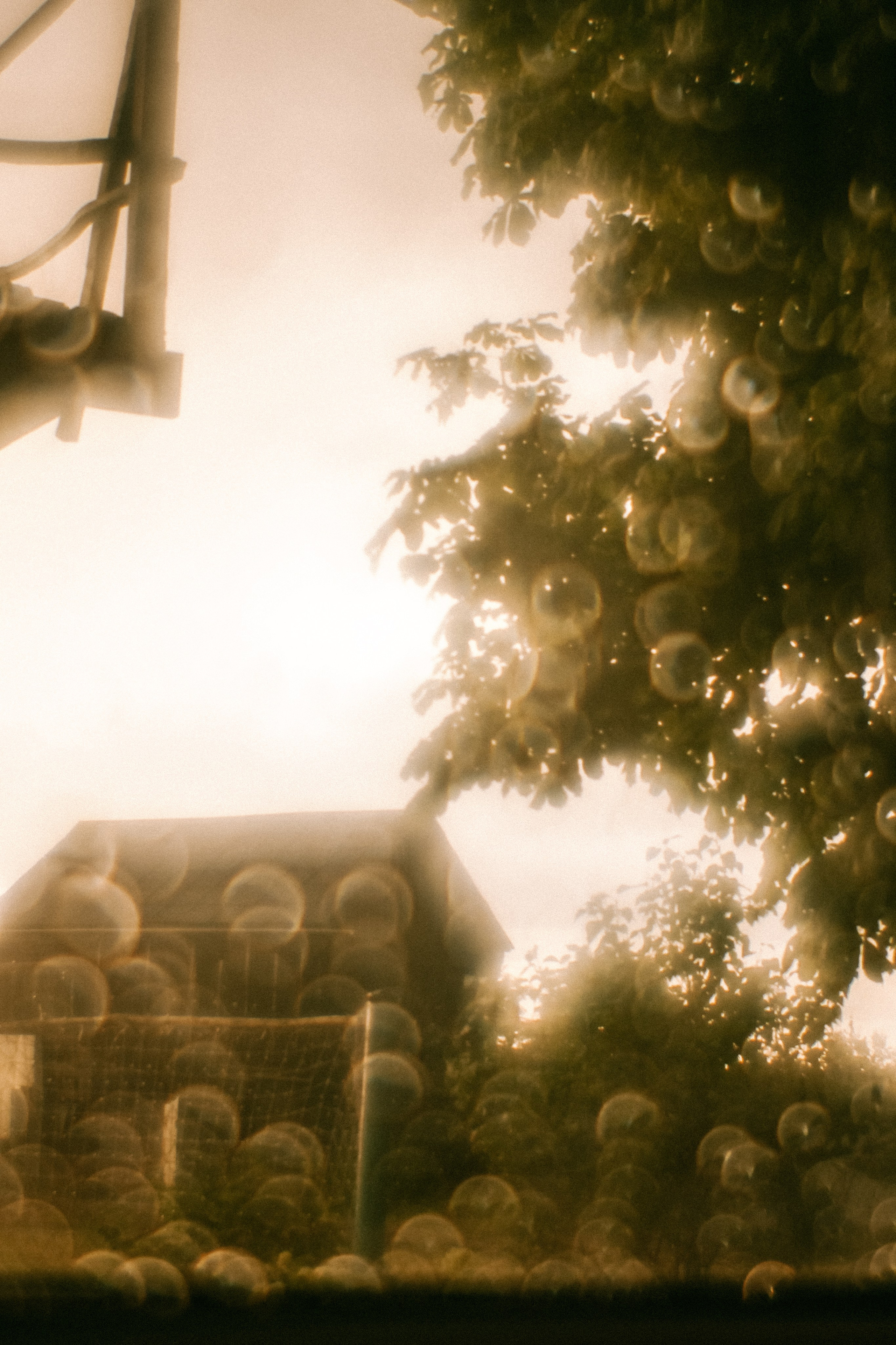 Поэзия повседневности. Семейный фотограф в Москве Марина Аргунова